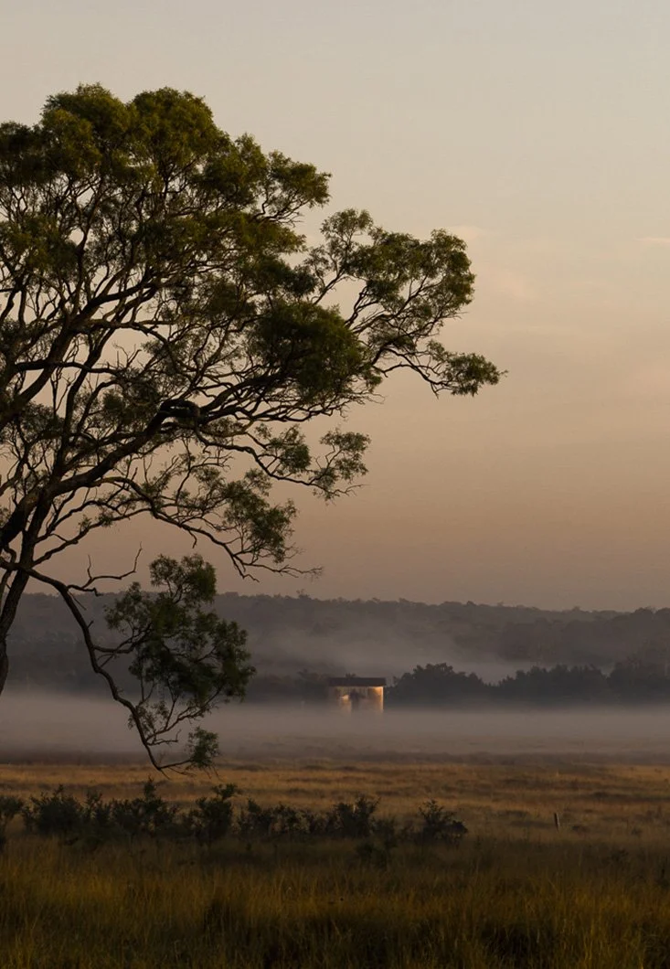 Morning fog over rural land