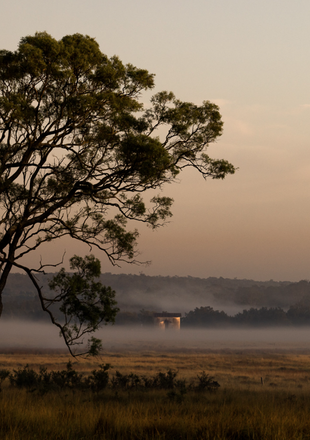 Screenshot 2026-02-11 at 11.39.58 am.png