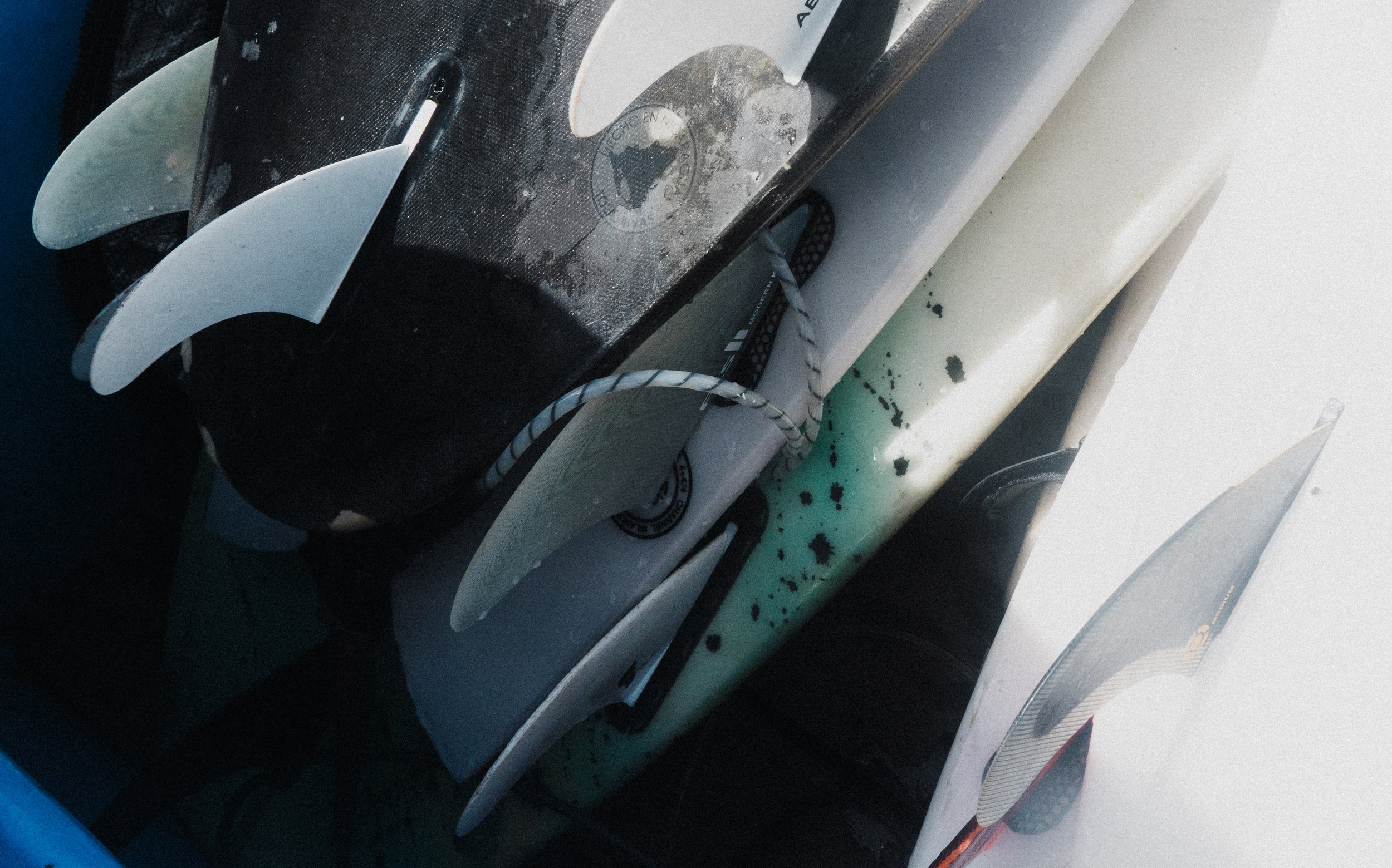 Photo 14.11.25, 17 09 44.jpg