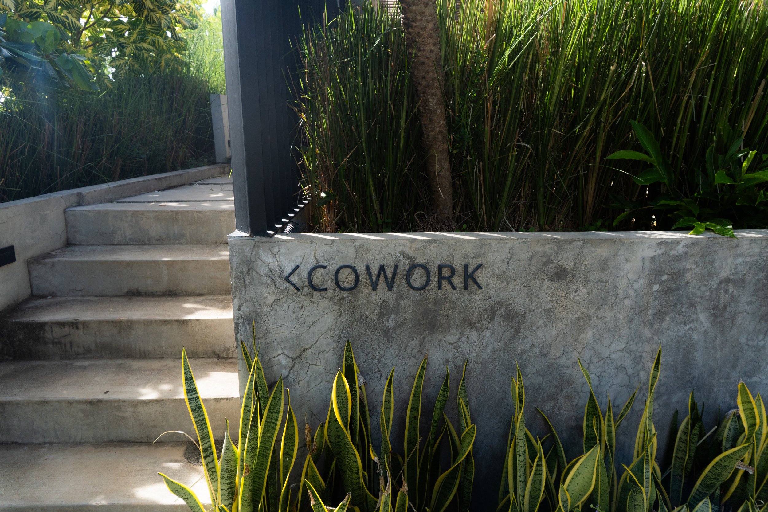 Photo 14.11.25, 21 01 58.jpg