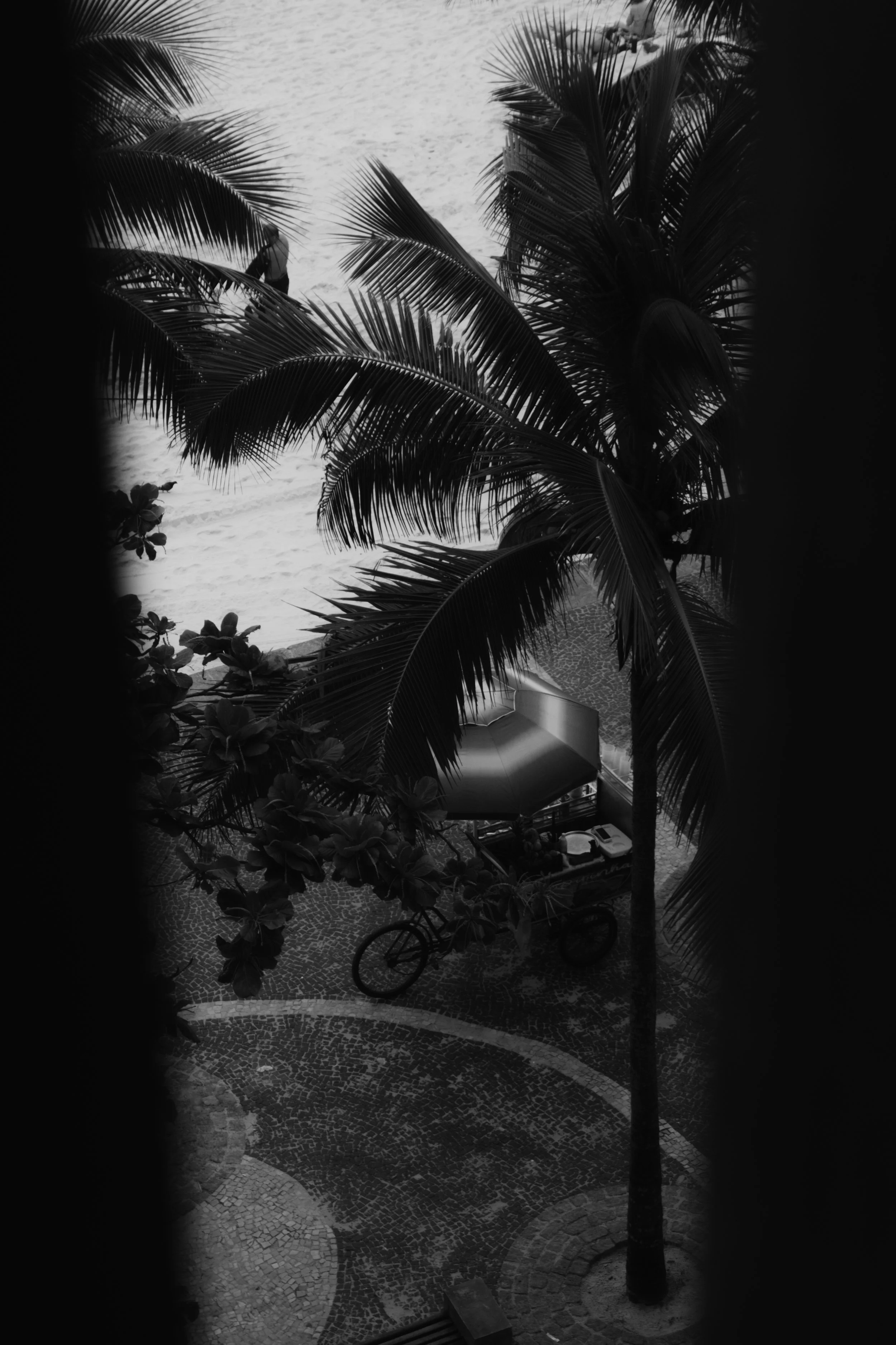 Photo 21.10.25, 17 03 00.jpg