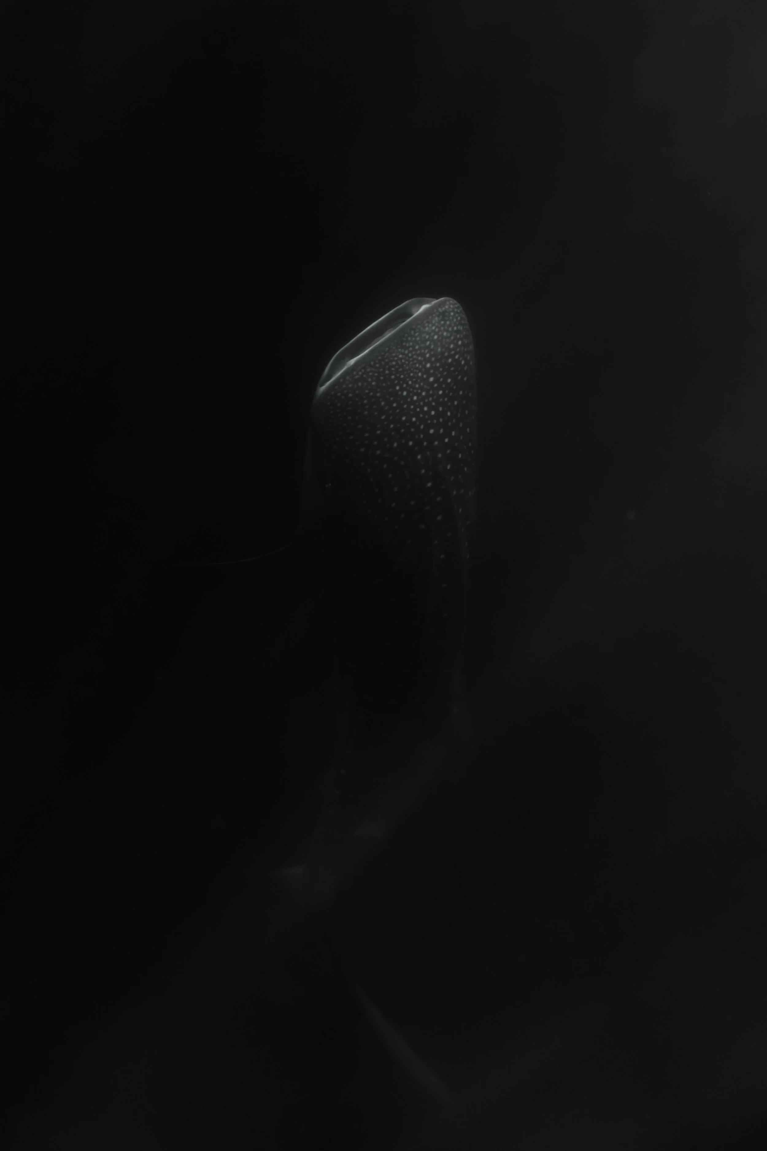 Photo 05.12.25, 20 21 24.jpg