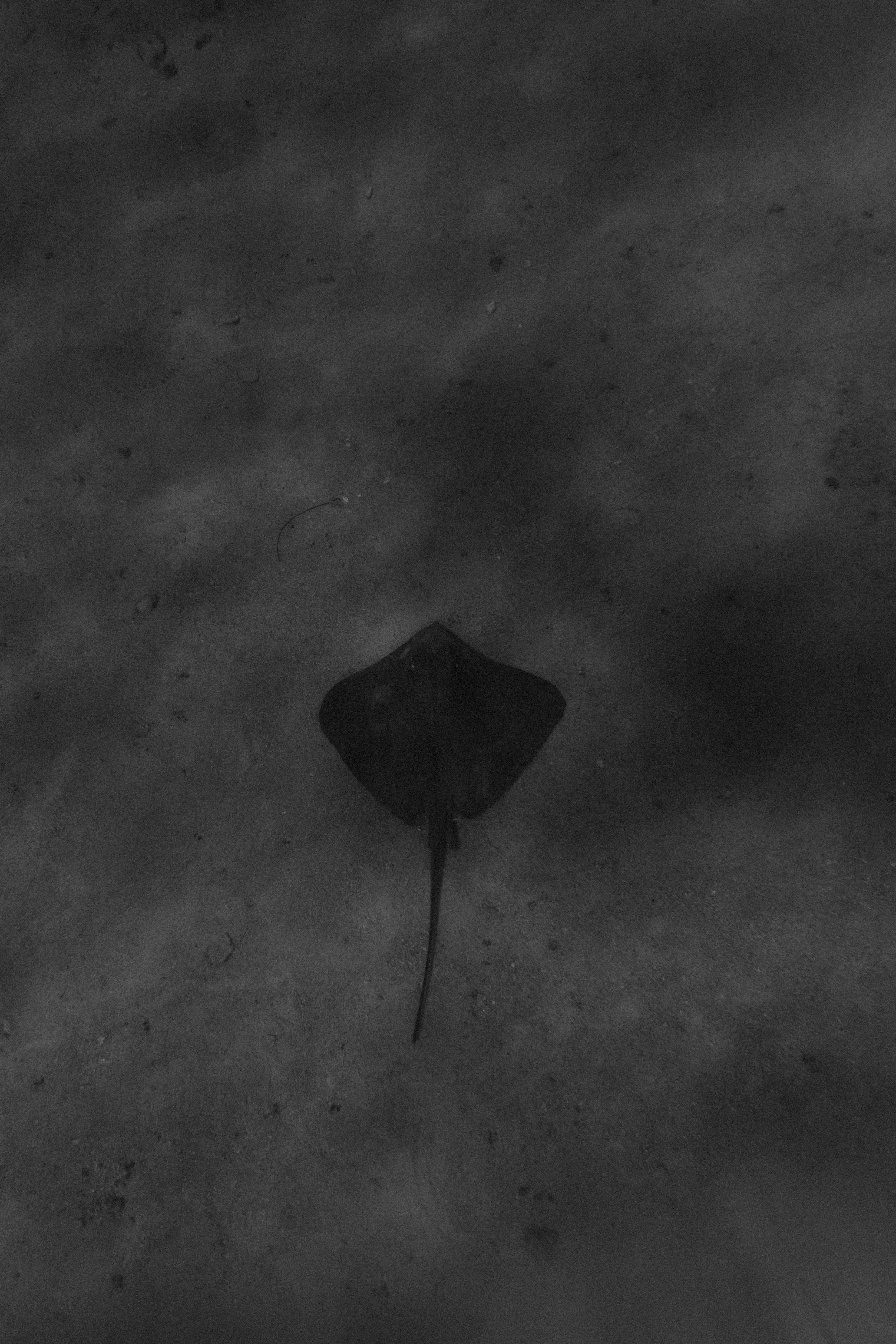 Photo 05.12.25, 17 04 43.jpg