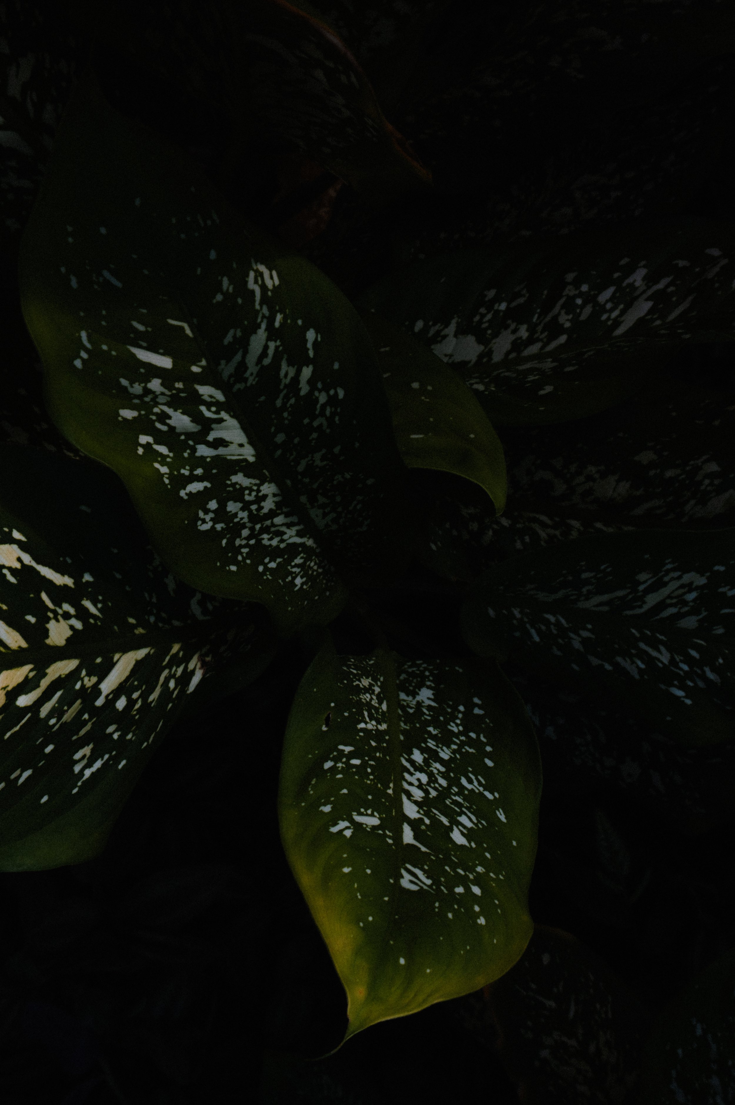 Photo 14.11.25, 20 22 17 (1).jpg