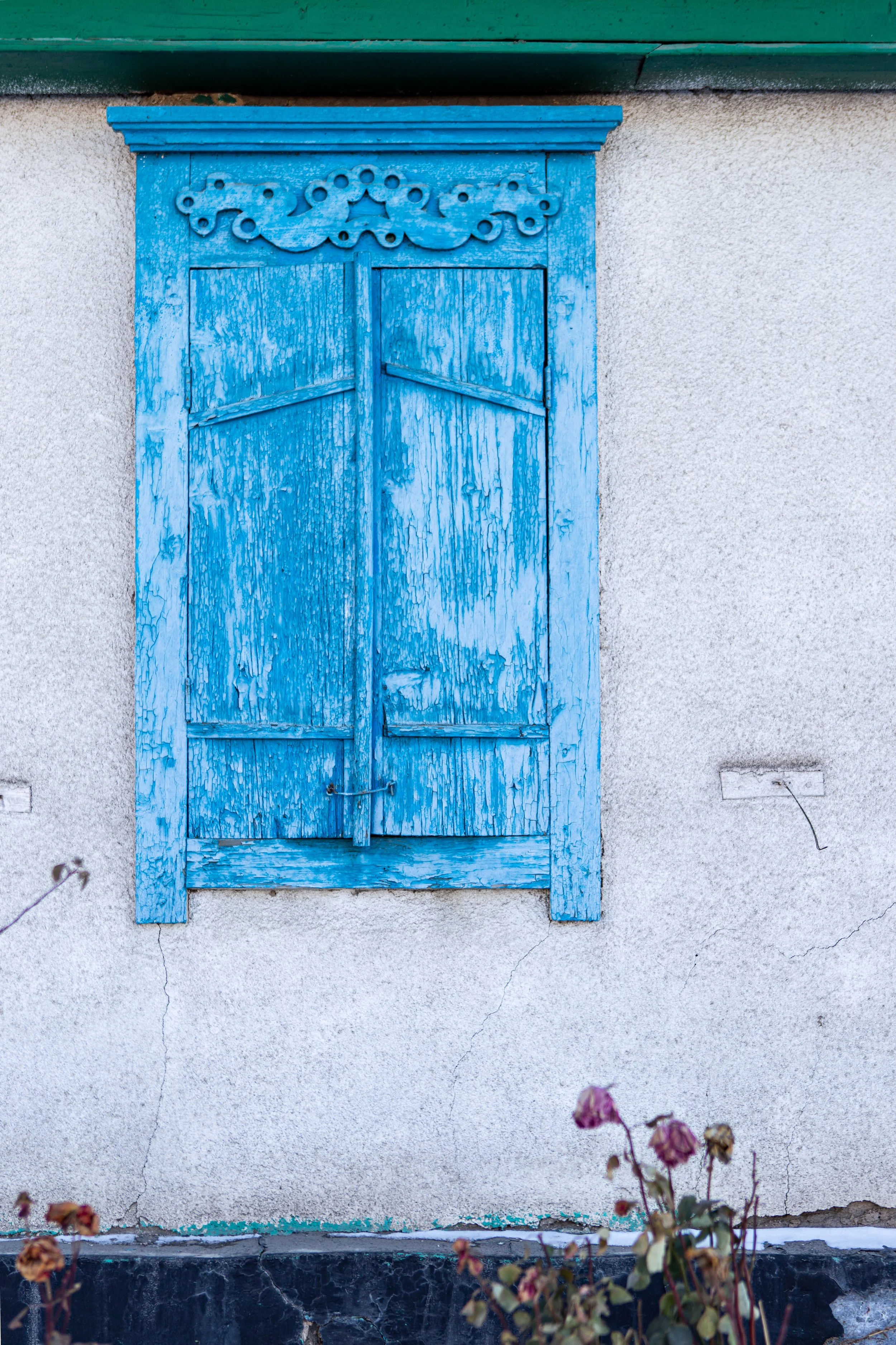 A weathered blue wooden window shutter on a white textured wall with small cracks, with dried pink flowers at the bottom.