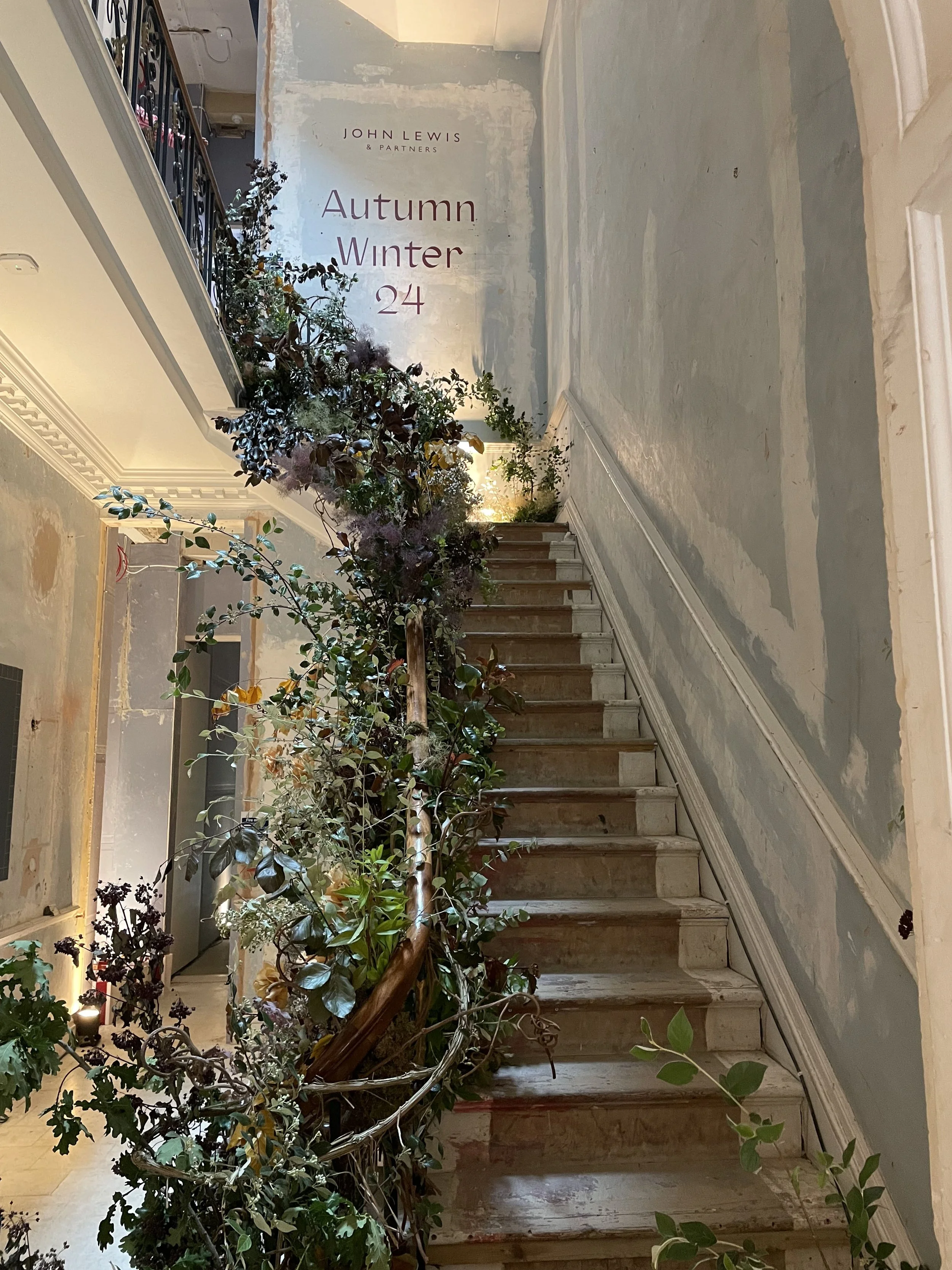 An indoor staircase with a wooden handrail, overgrown with potted plants and greenery, leading up to a landing with a wall advertising John Lewis & Partners' autumn and winter collection, dated 24.