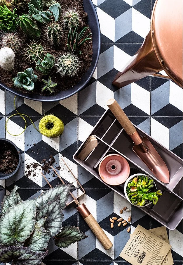 Top-down view of a black and white geometric patterned floor with various gardening tools, potted succulent plants, and gardening supplies arranged on it.