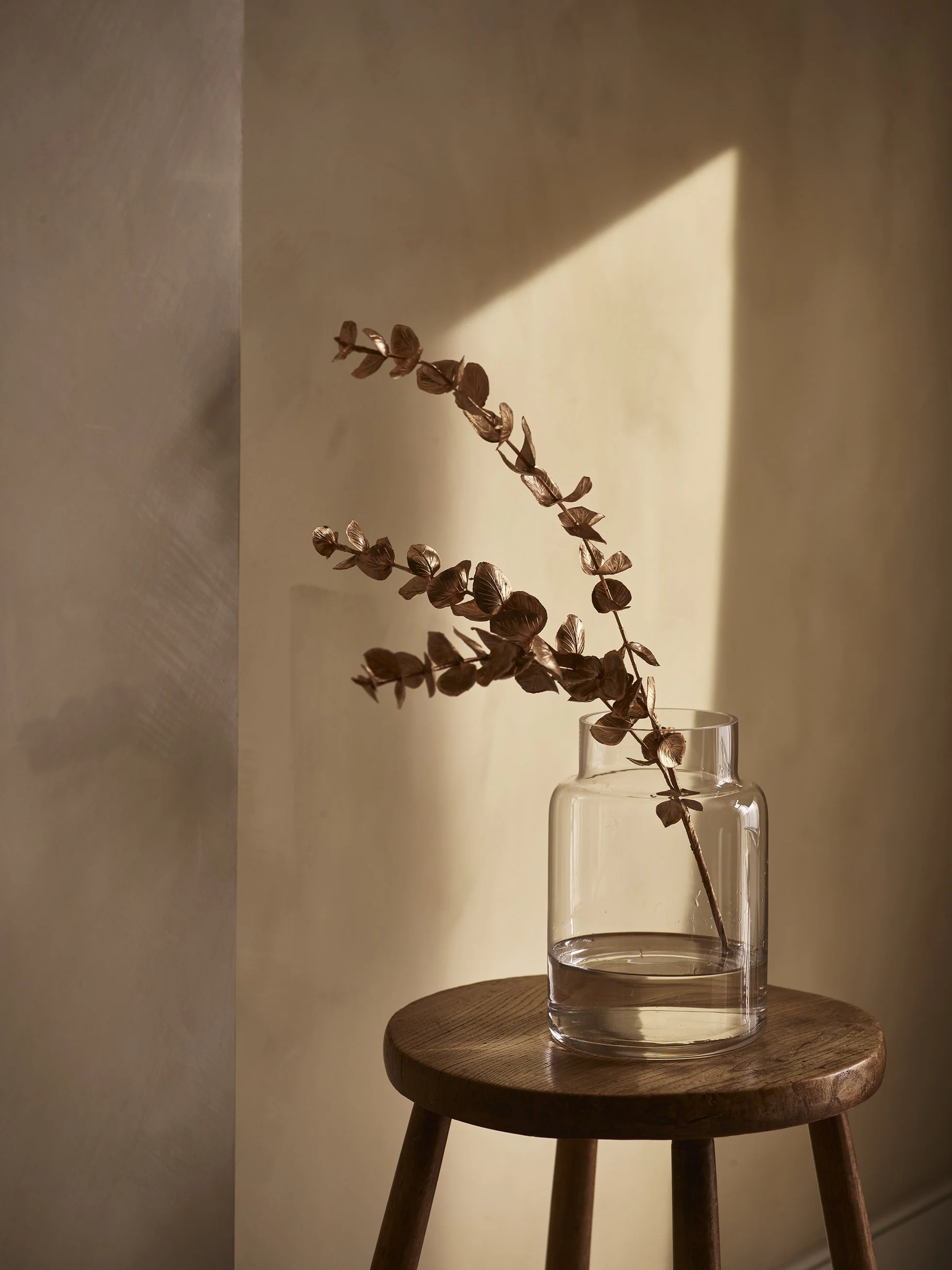 A transparent glass vase with a branch of dried brown leaves, placed on a round wooden stool. Light from a window casts a shadow on the wall behind.