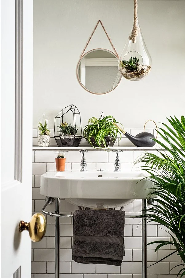 A small bathroom with a white sink, a mirror, hanging glass planter with a plant, and several small potted plants on the shelf above the sink, surrounded by green foliage.