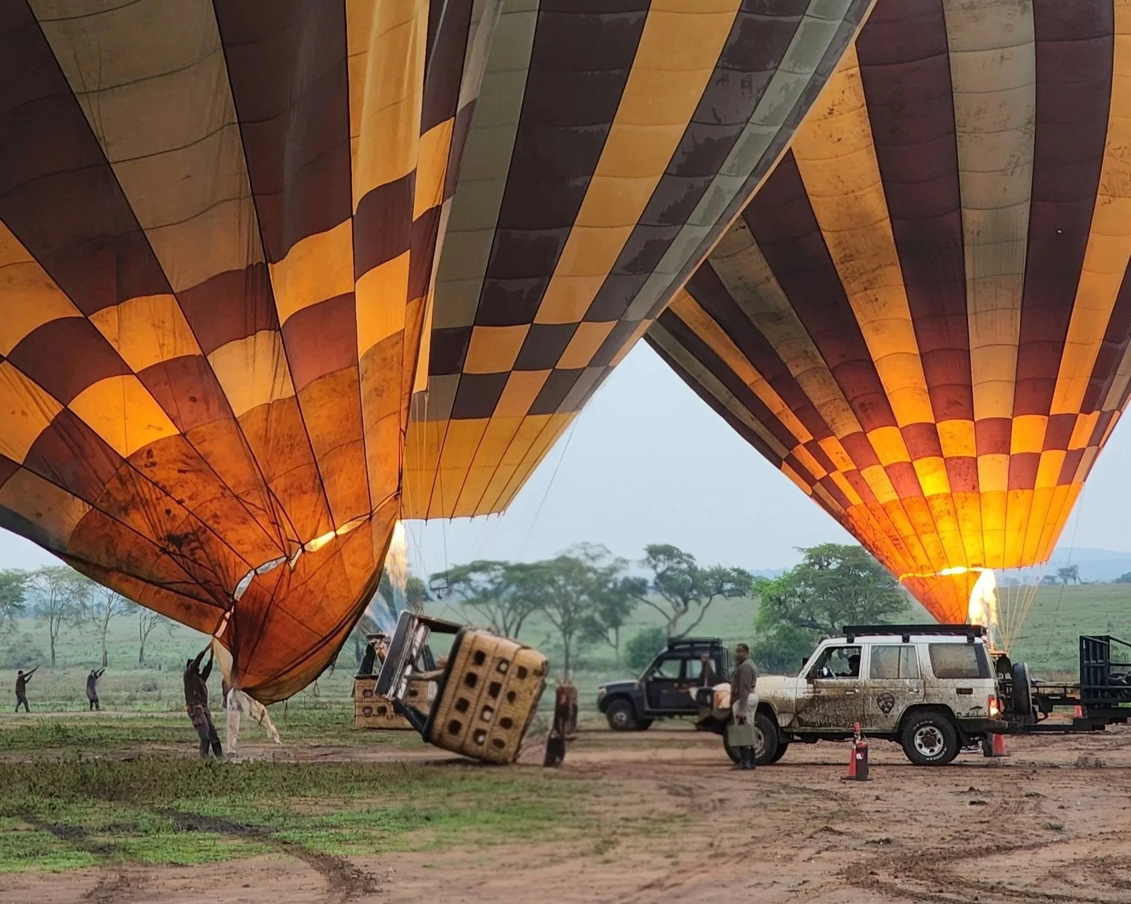 Several hot air balloons are being inflated on a field, illuminated from within, with vehicles and people assisting.