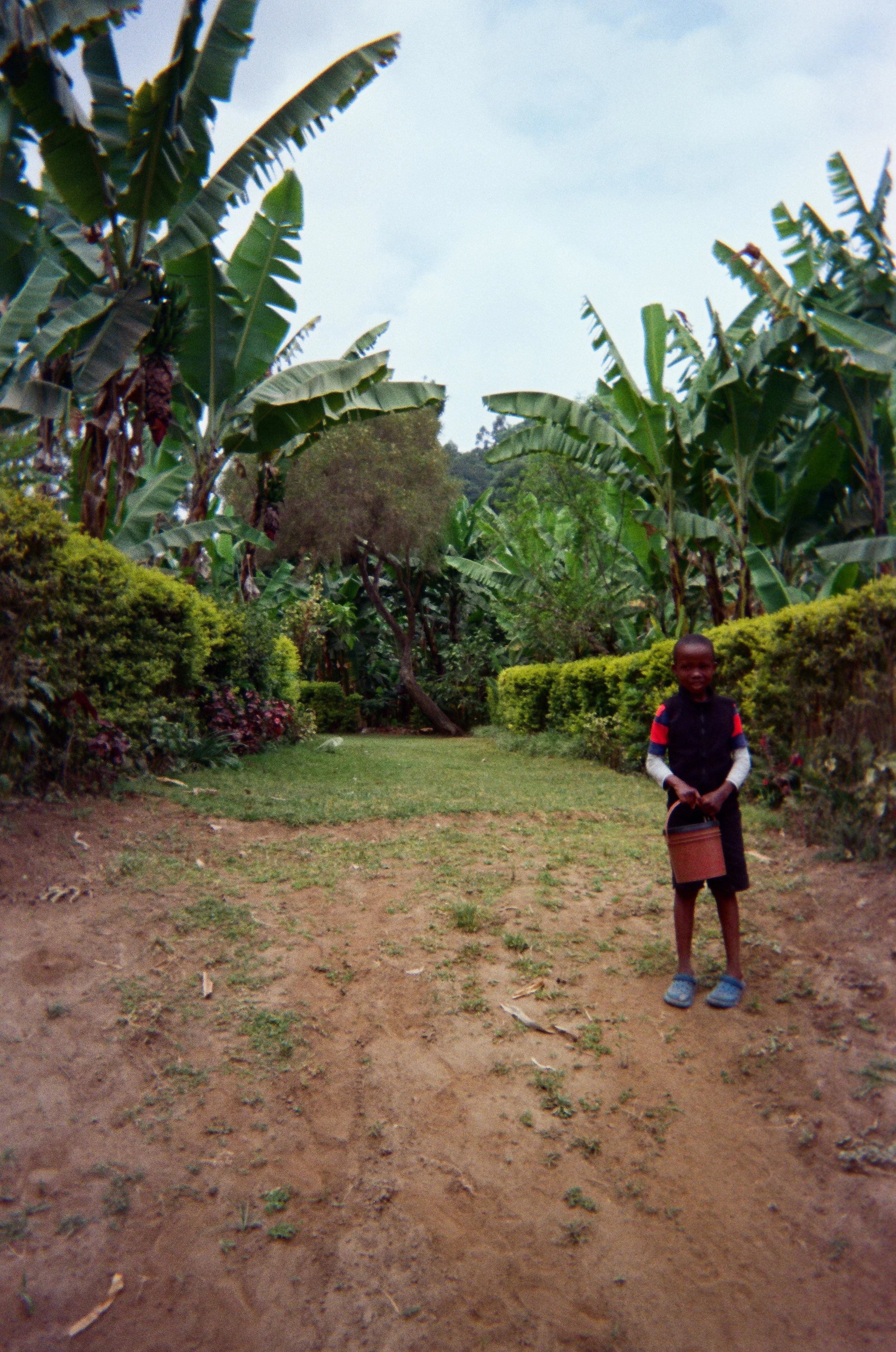 A young boy standing on a dirt path in a lush garden with banana trees and green bushes.