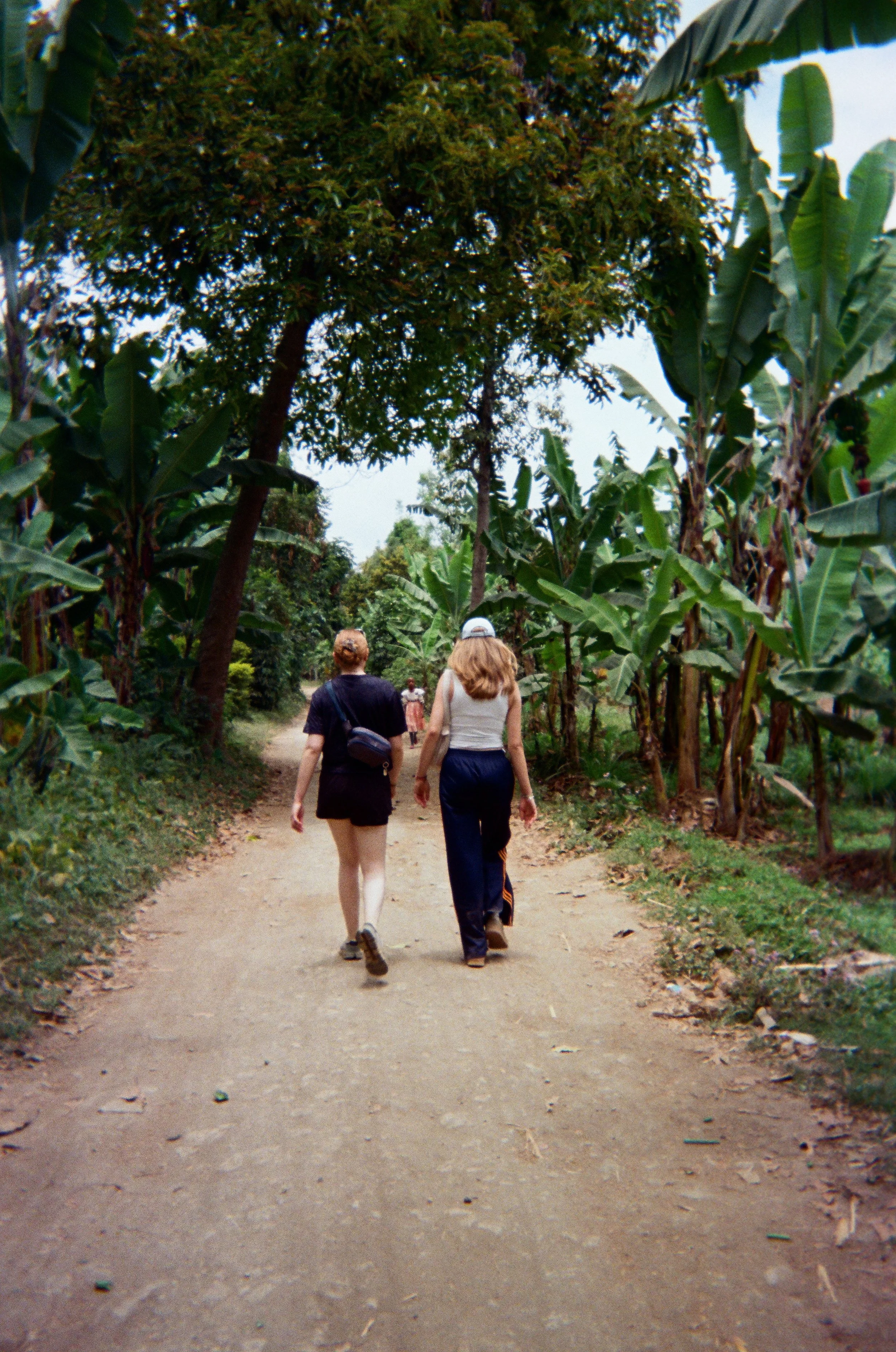 Two women walking along a dirt path through a lush, green tropical forest with banana trees and tall trees on either side.