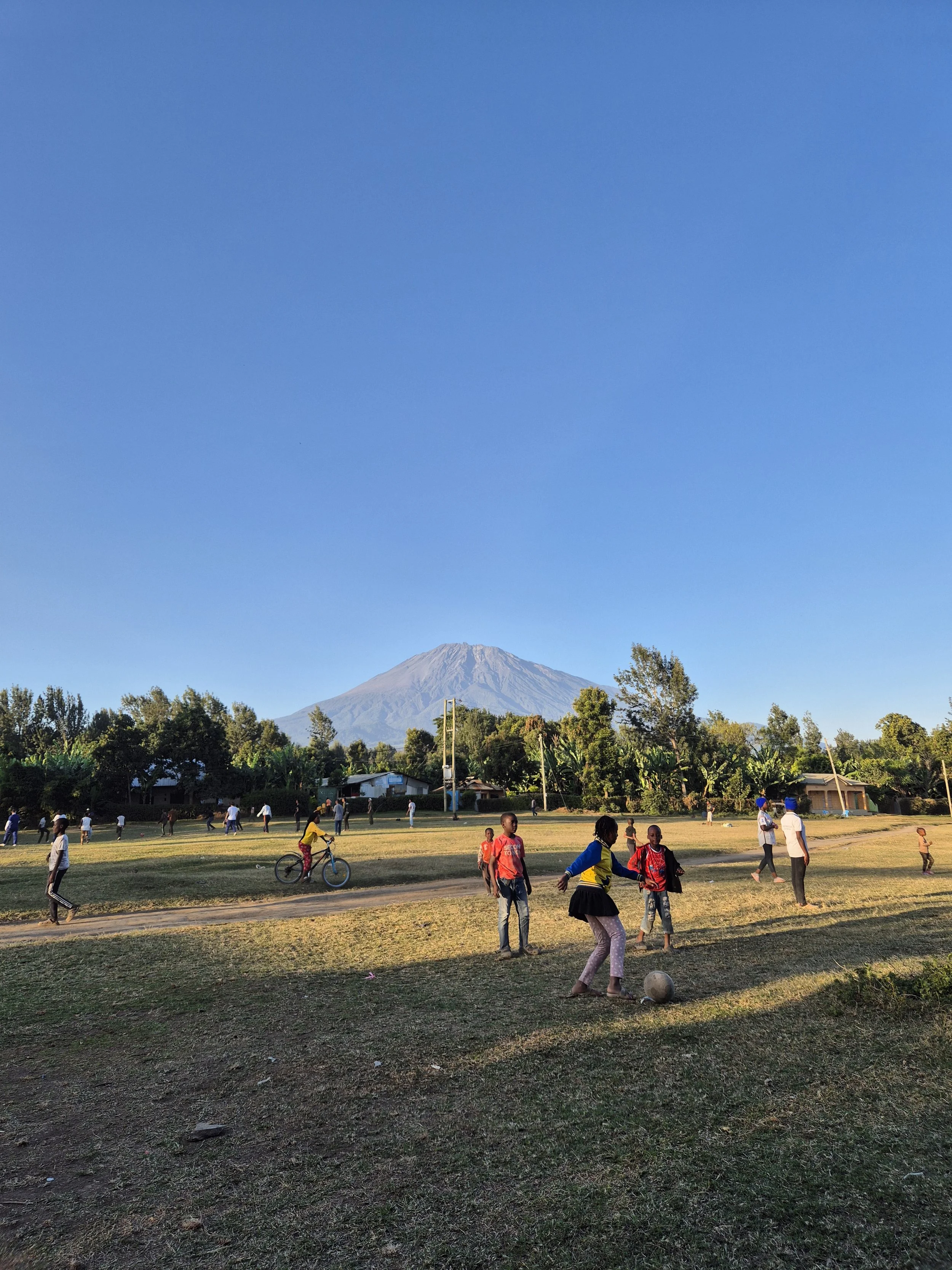 Children and adults playing soccer and walking in a grassy field near trees, with a mountain in the background under a clear blue sky.