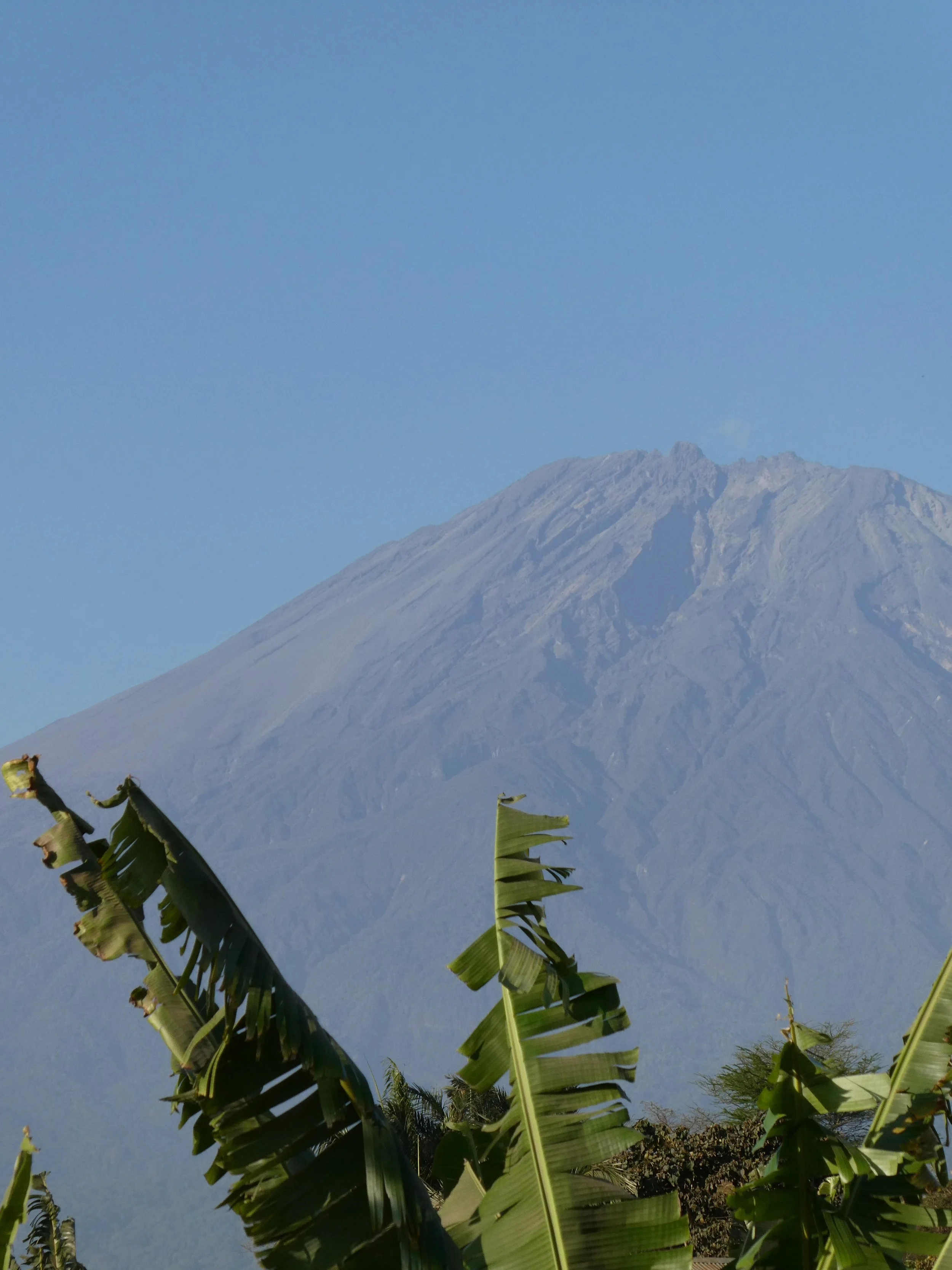 A mountain with a volcanic appearance in the background, with palm or banana leaves in the foreground under a clear blue sky.