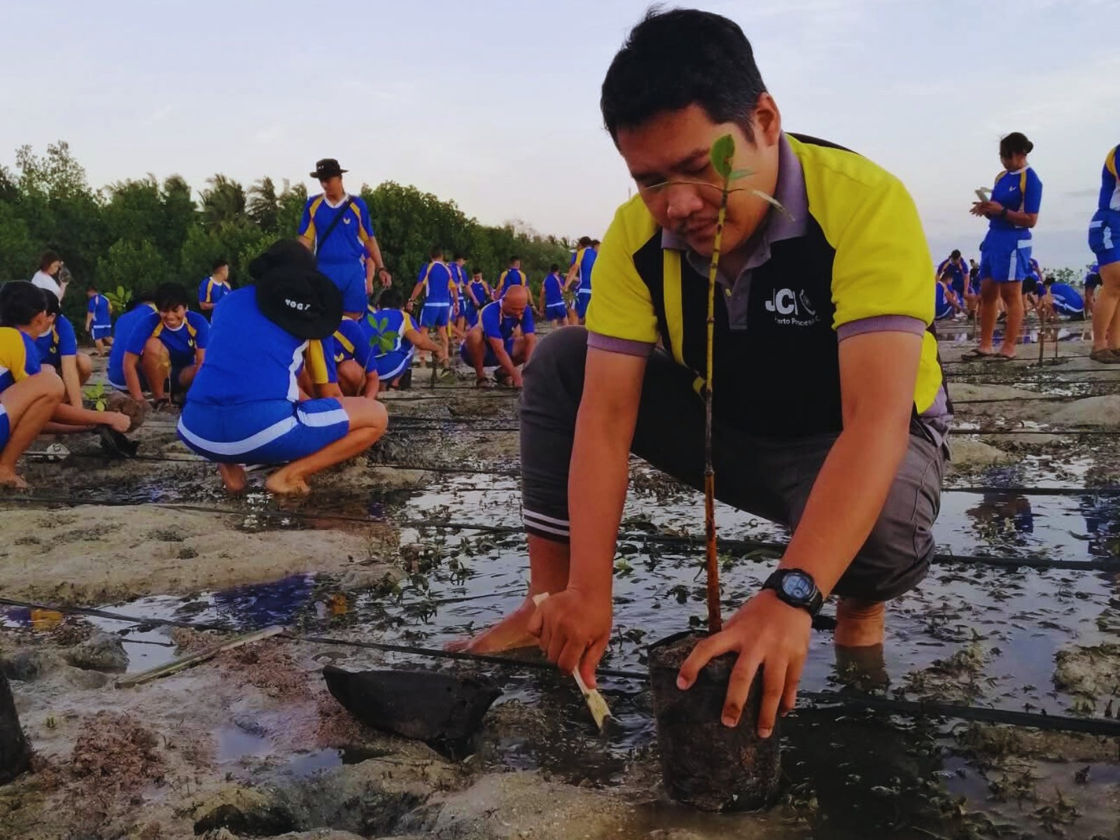 Man planting a young tree in muddy wetland area during daylight, surrounded by children in blue and yellow uniforms participating in environmental activity.