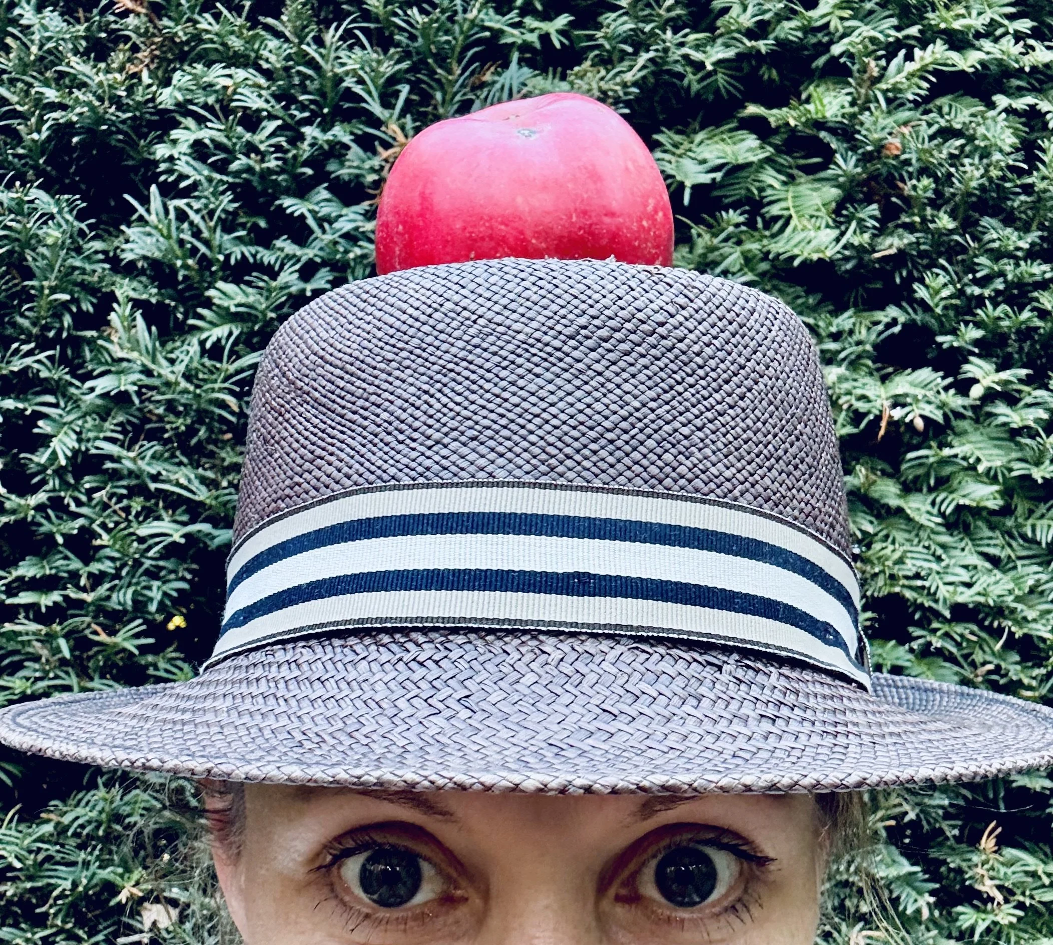 „Mit einem Apfel will ich Paris verblüffen!” 