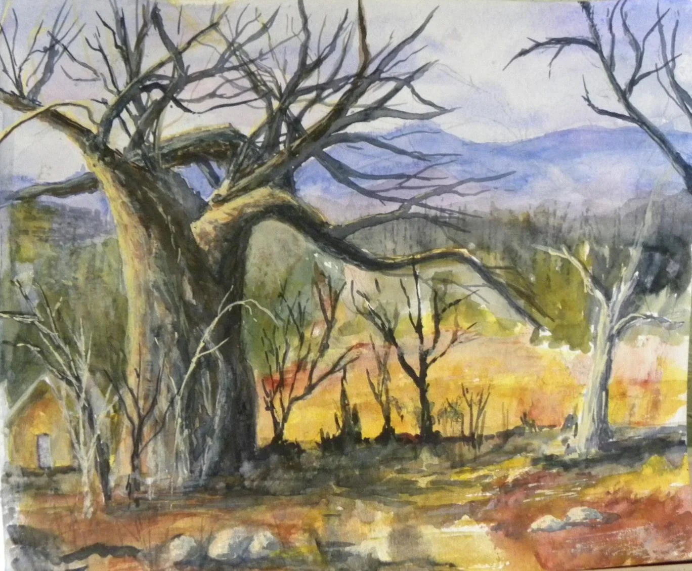 Janet Darke