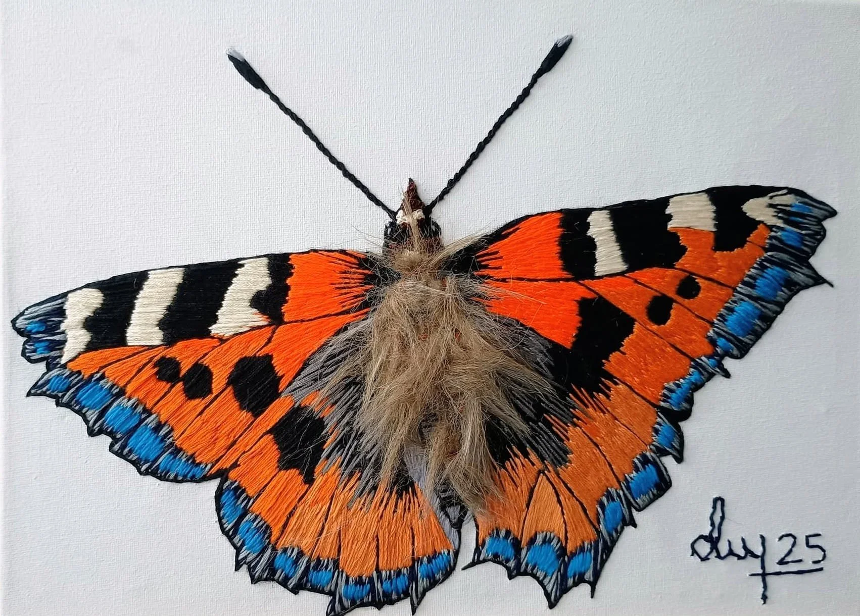 Tortoiseshell Butterfly
