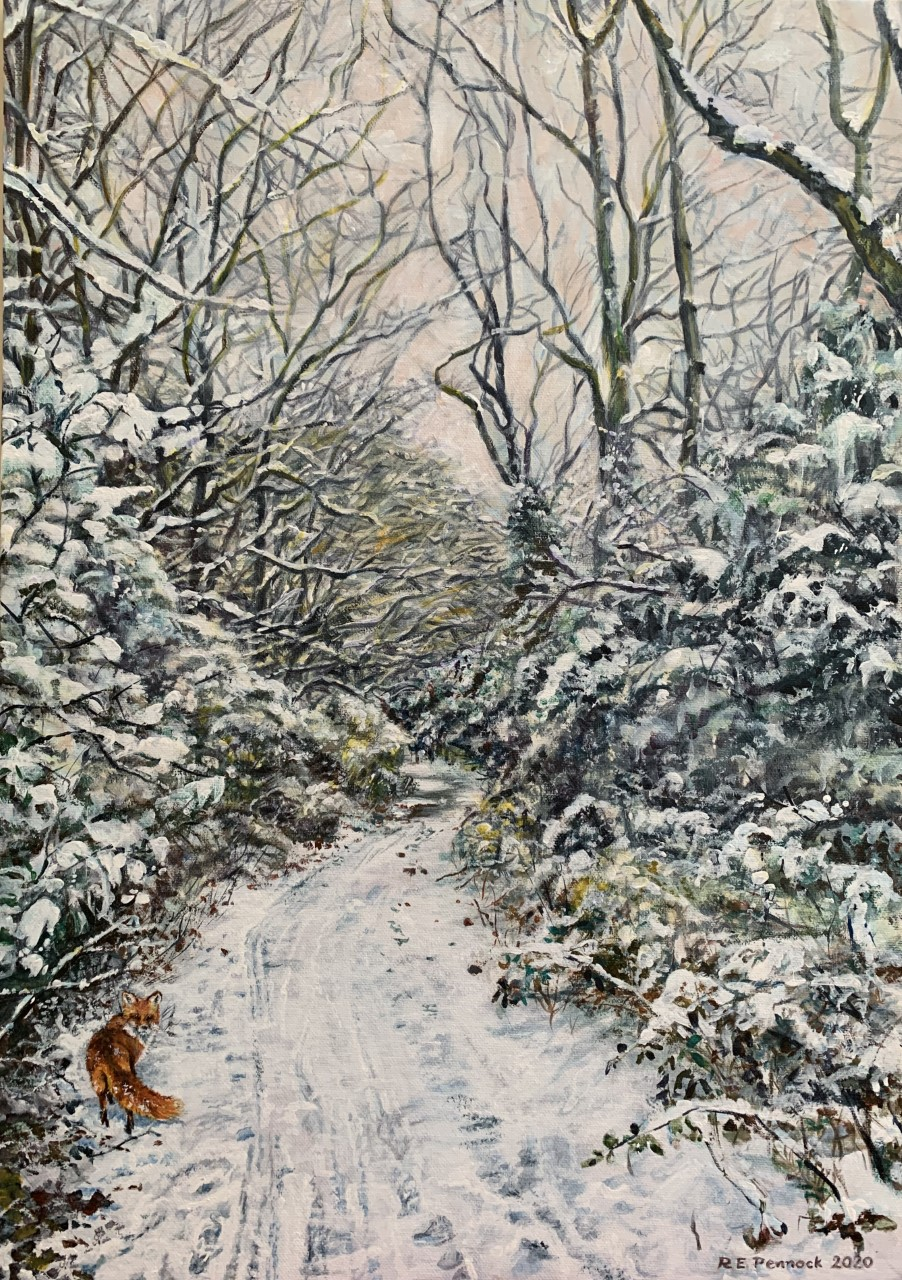 Bretton park in winter