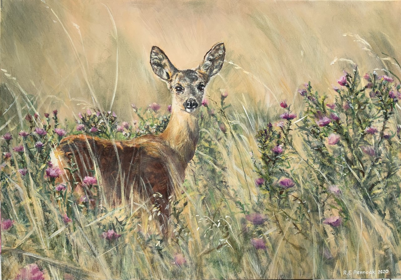 Doe in the thistles