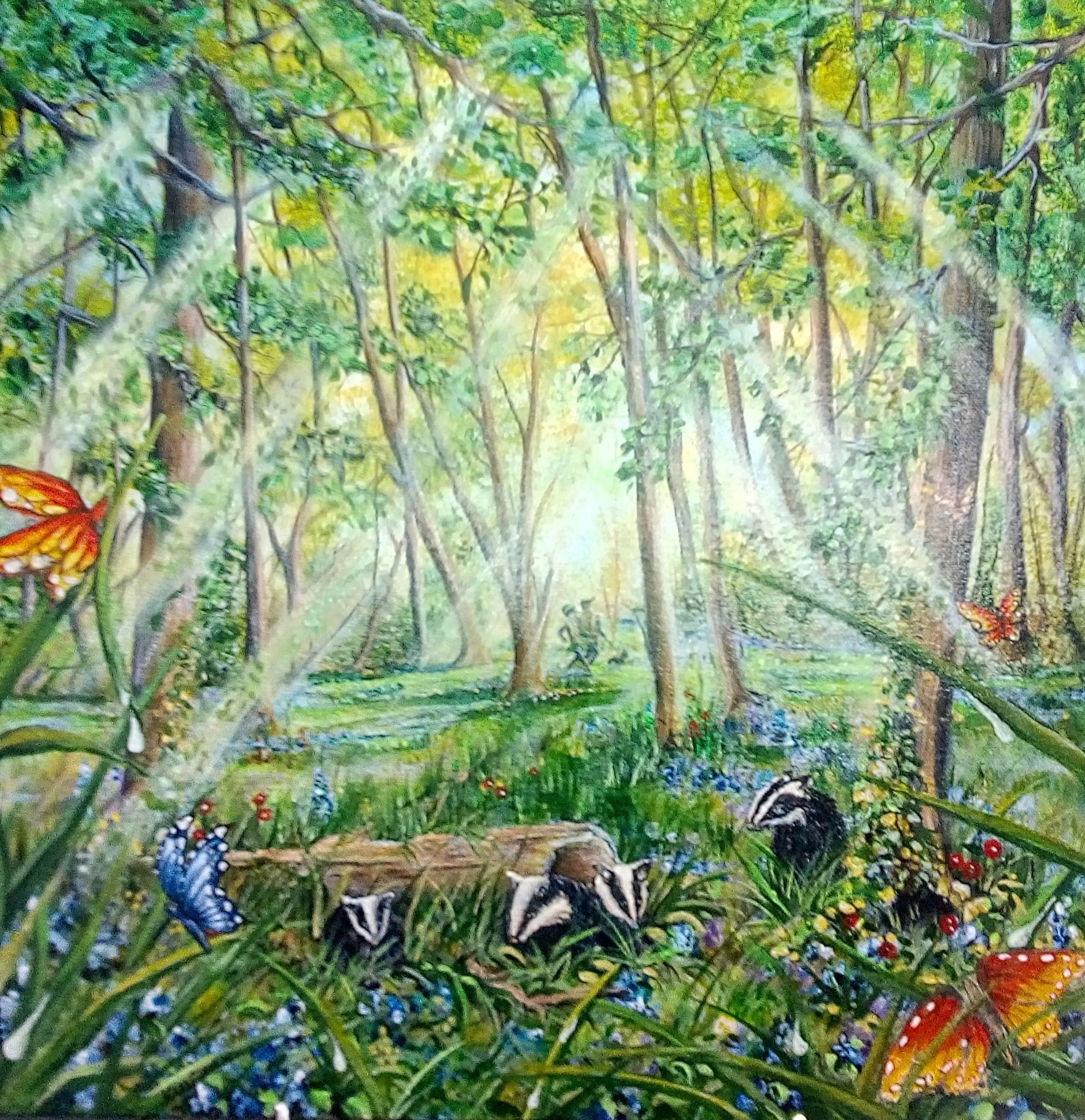 Badgers and Bluebells