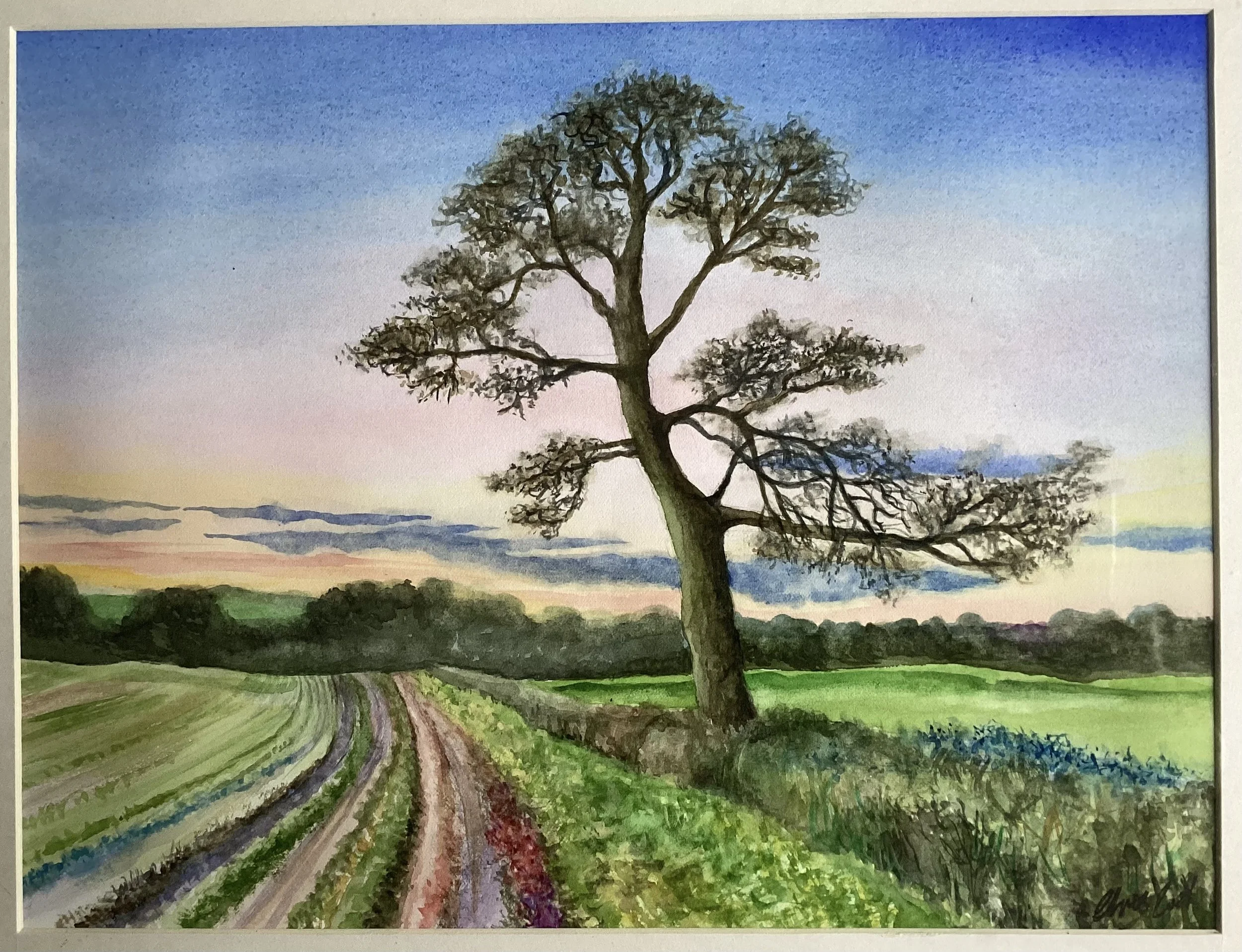 Colour Meadow  Watercolour 