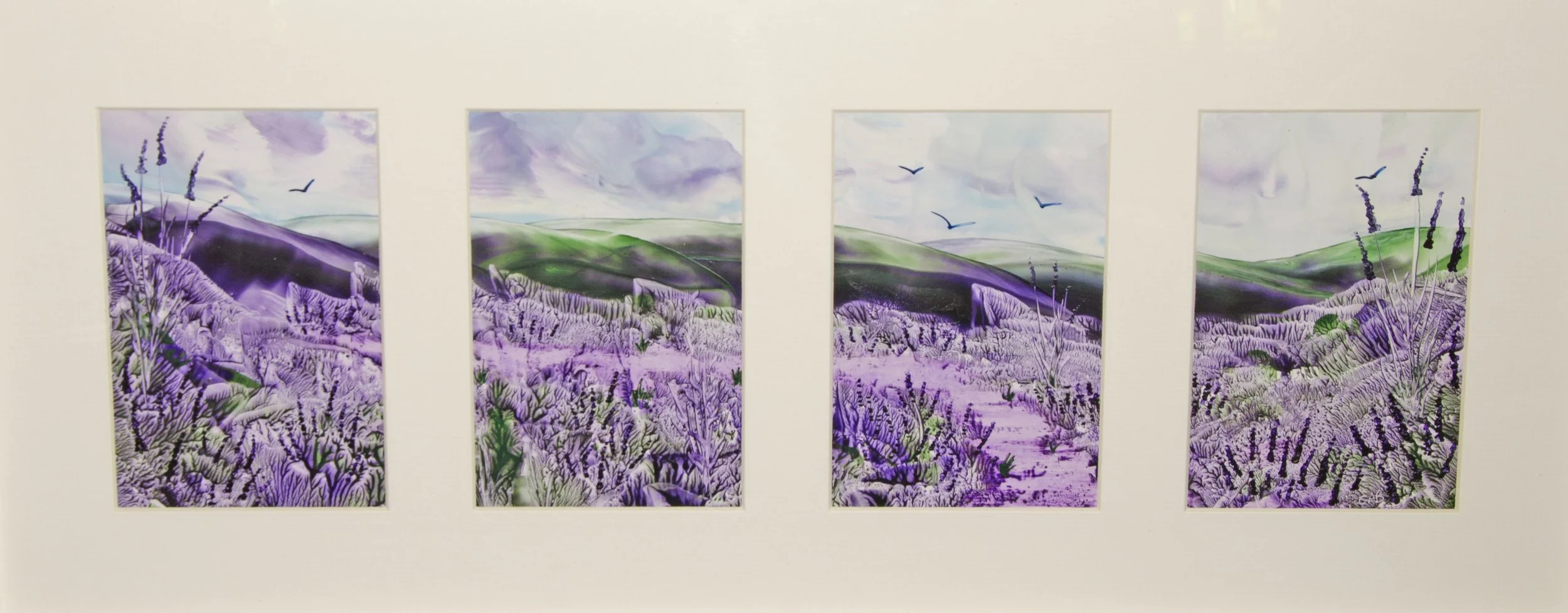 Wild Lavendar Meadow