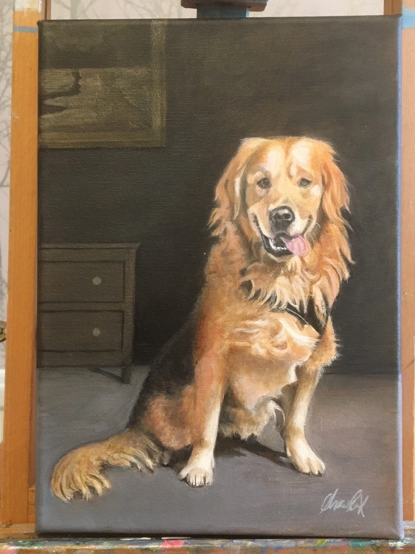 Rex the golden retriever
