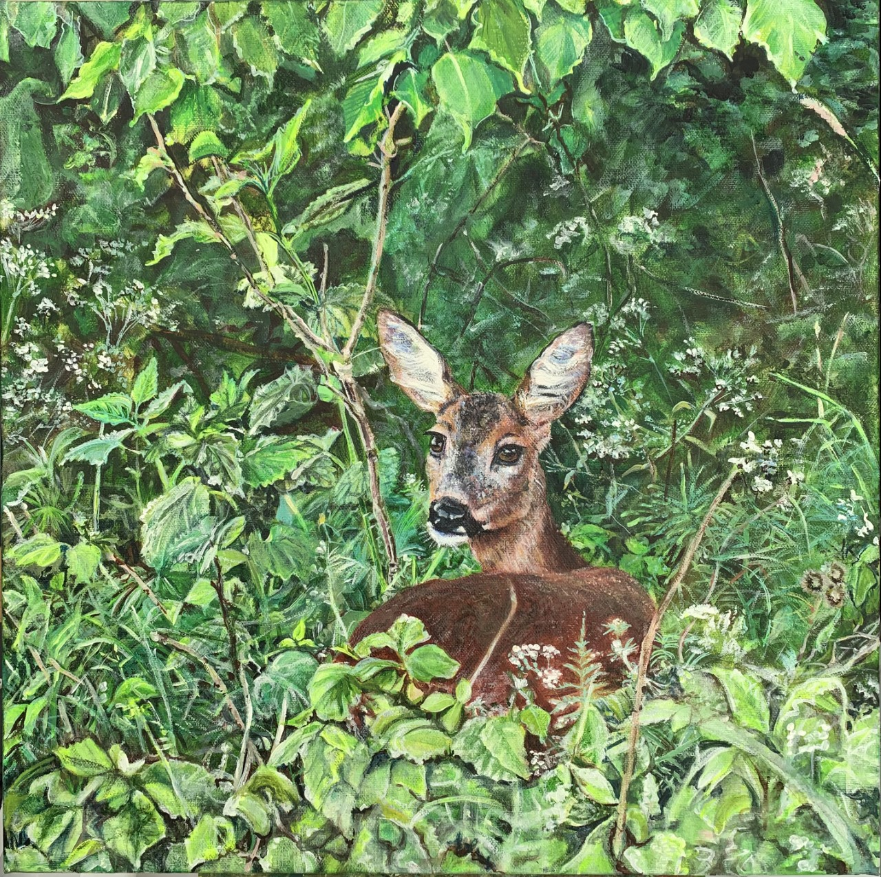 Doe in the bush