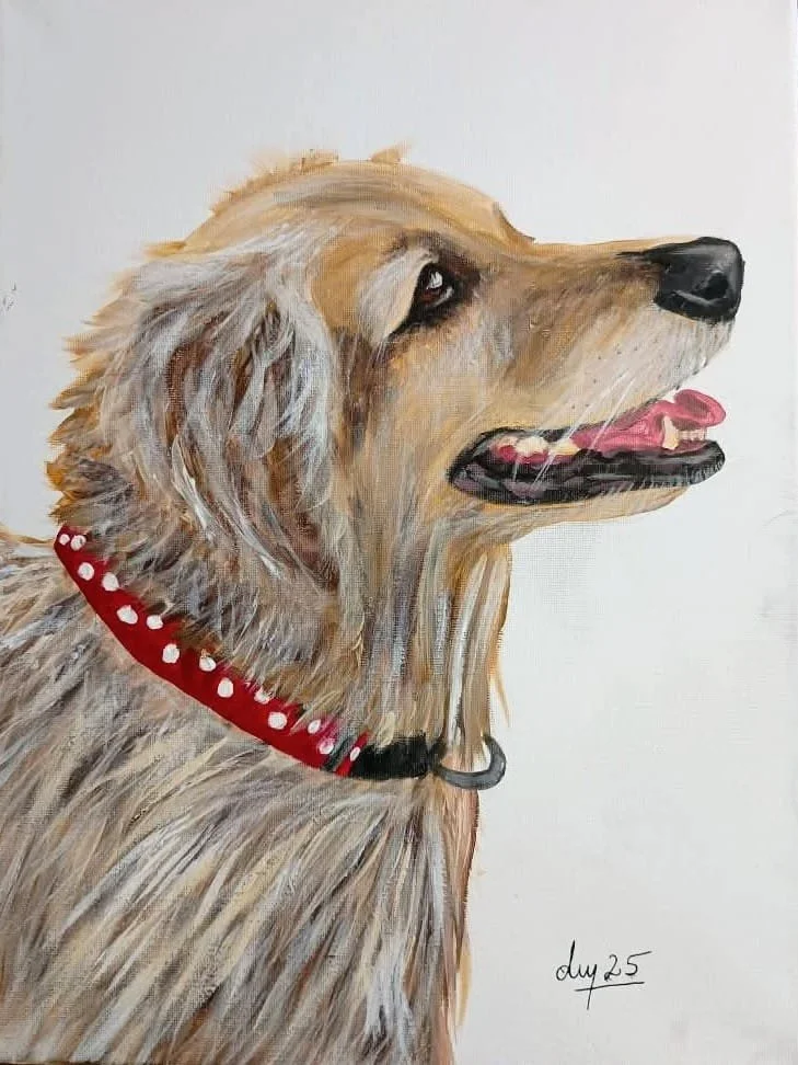 Golden Retriever 2