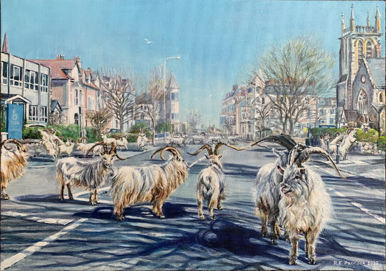 Llandudno in Lockdown