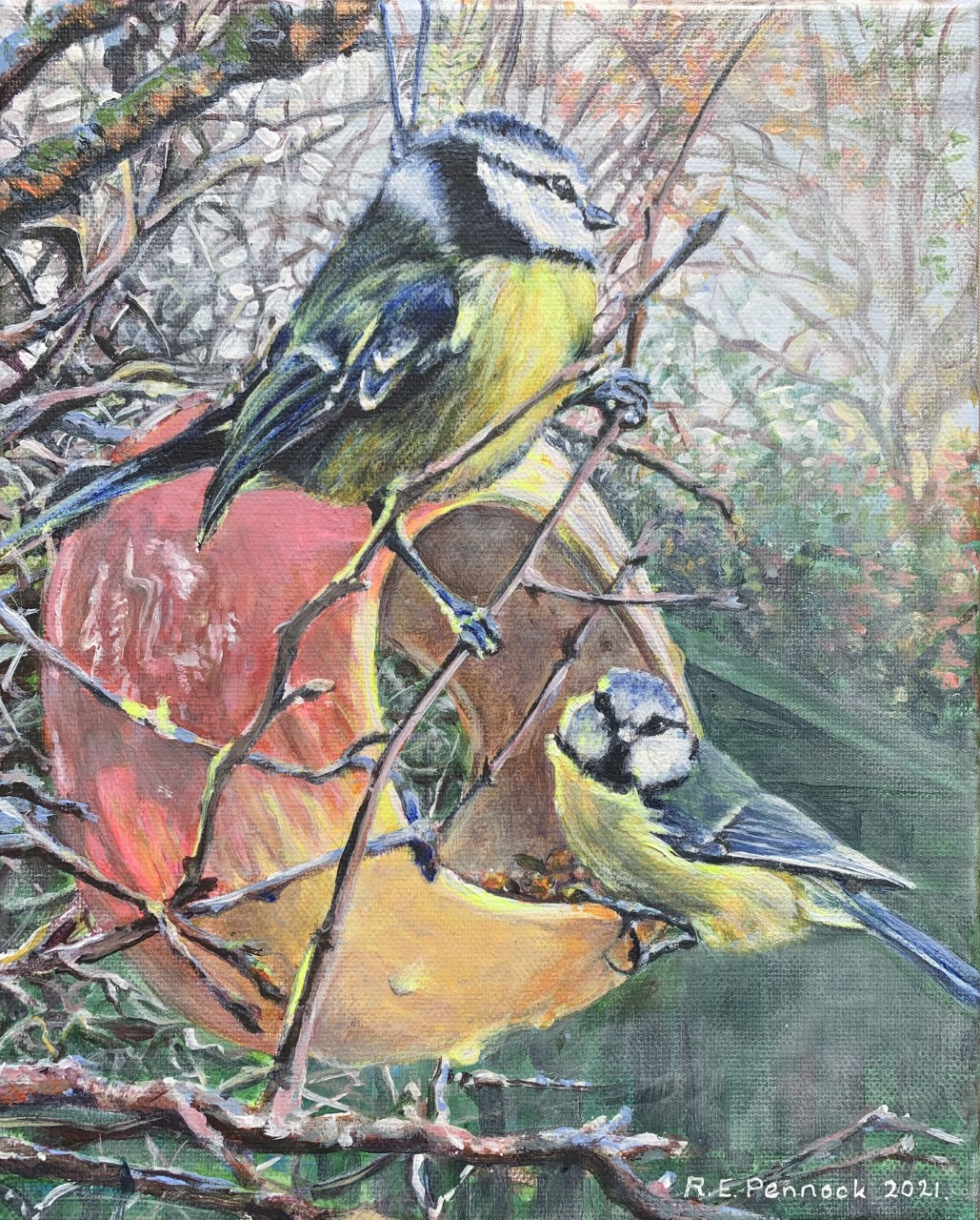 Great tit and Bluetit at feeder