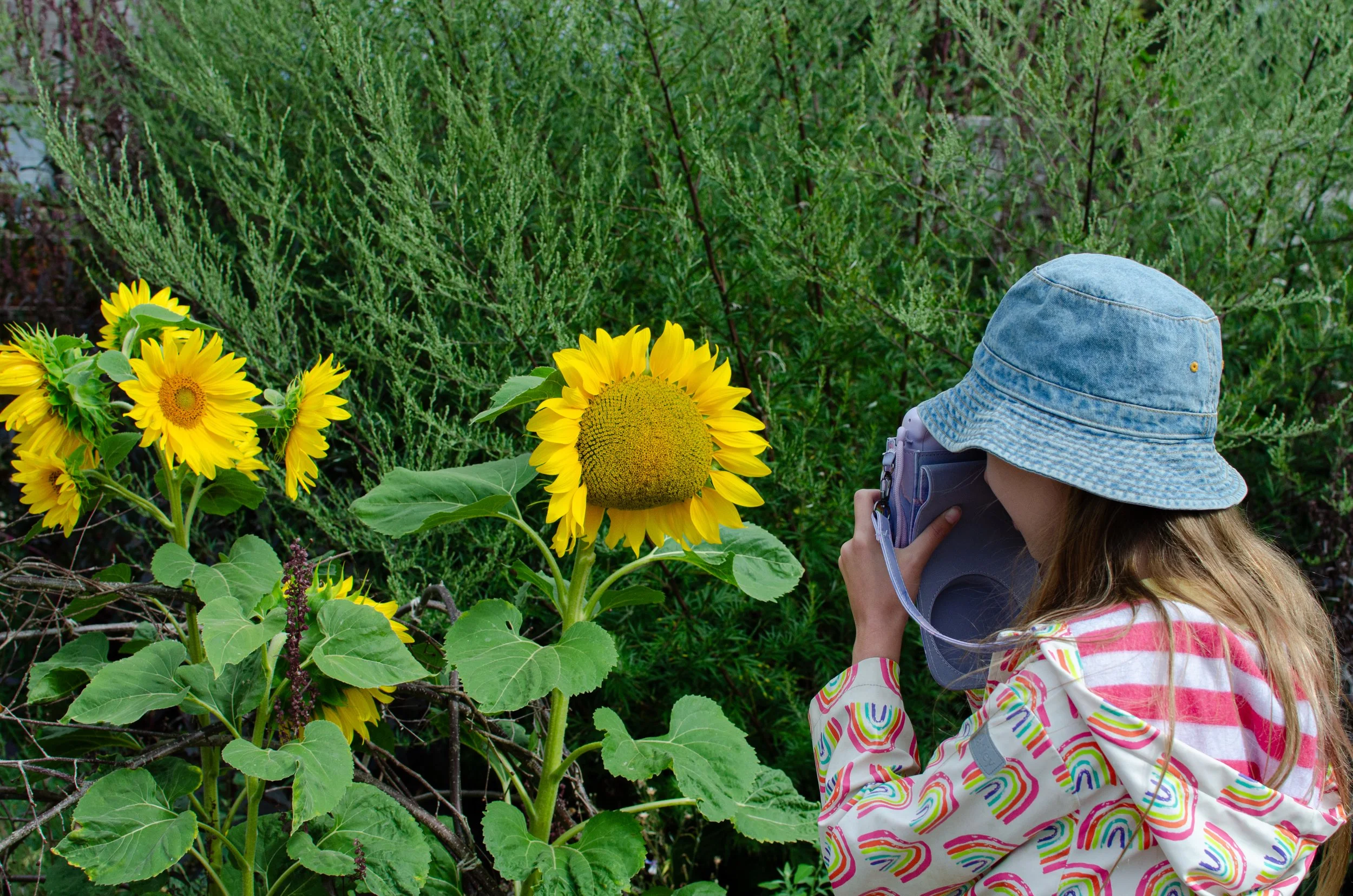Photography activities with kids