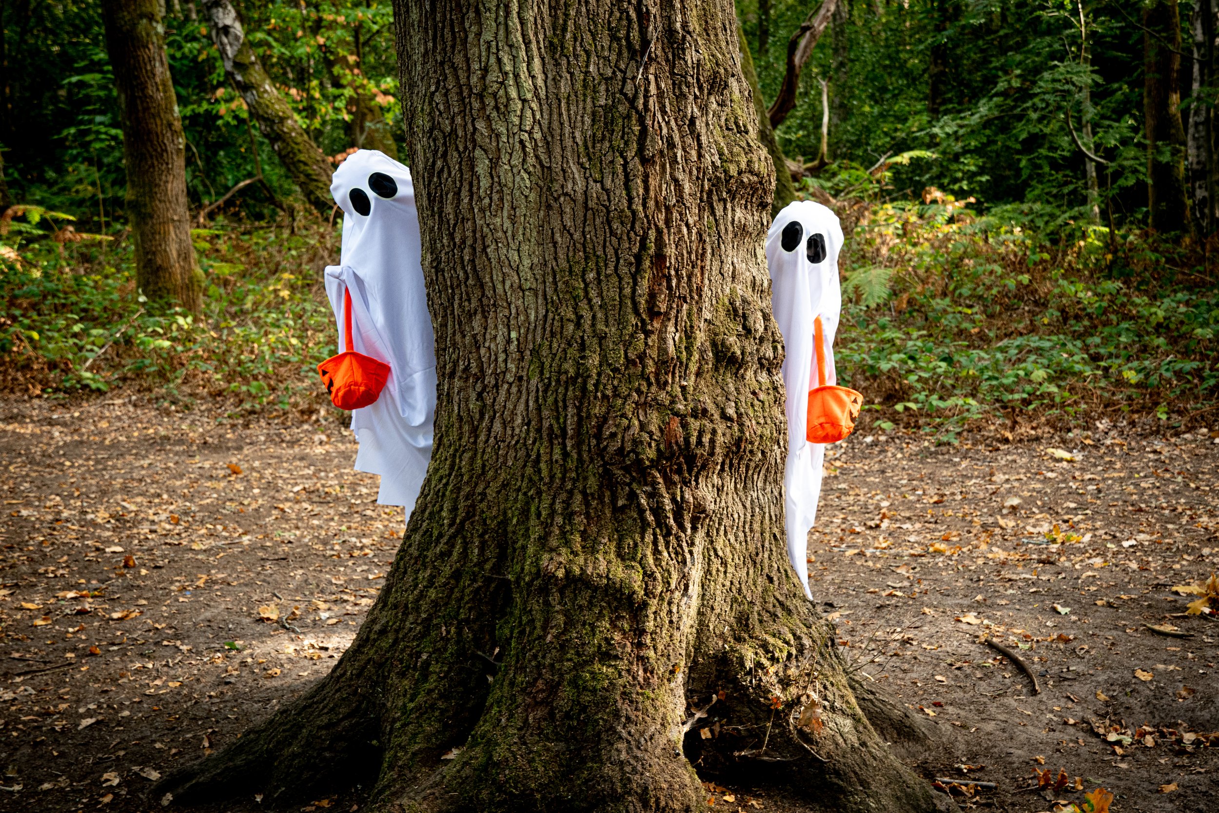 Two children dressed as ghosts peeking from behind a large tree in a forest, wearing white sheets with black eye holes and orange gloves.