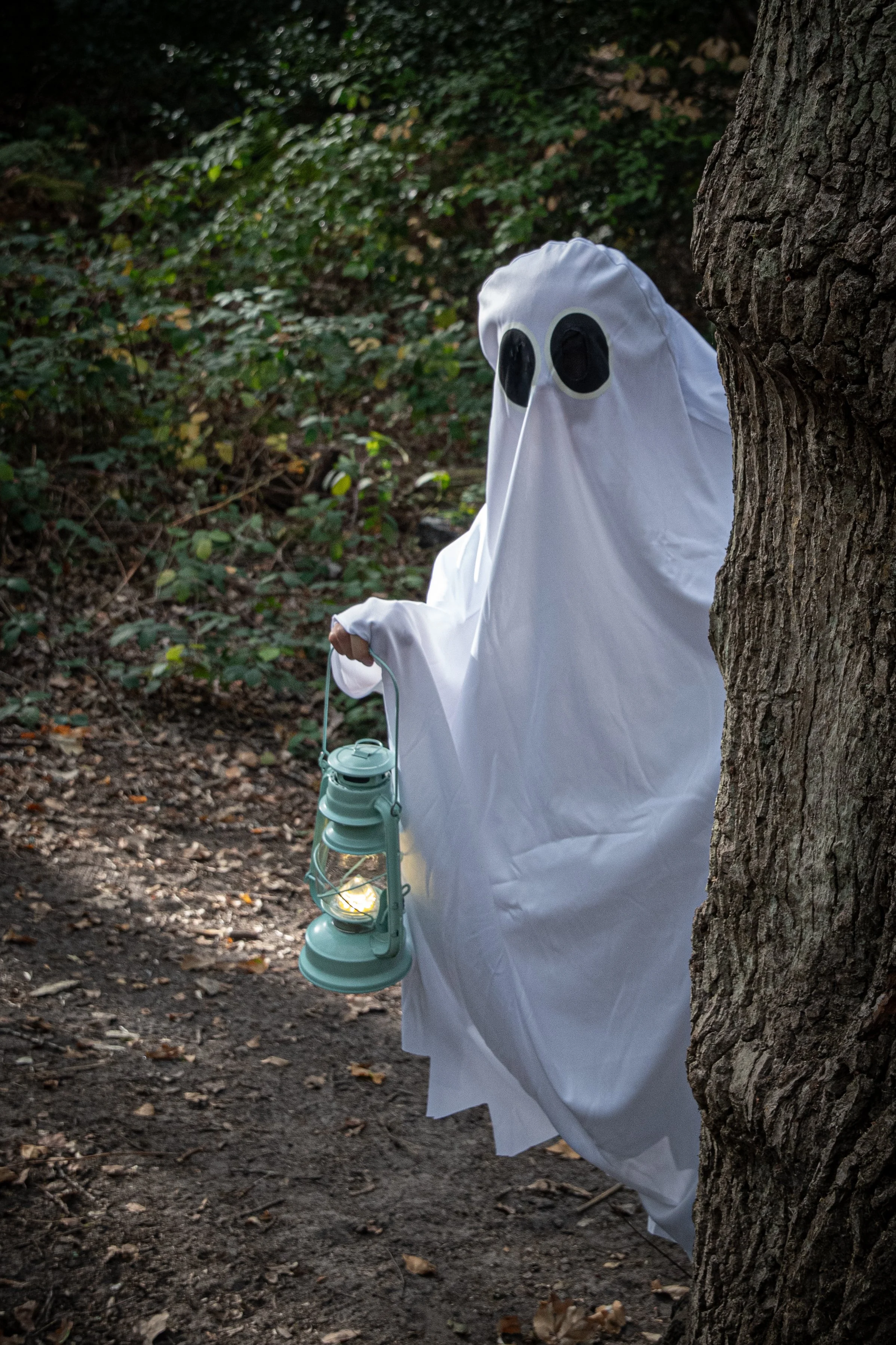 A person dressed as a ghost with a white sheet and black eyes, holding a lantern, peeking from behind a tree in a wooded area during dusk or night.