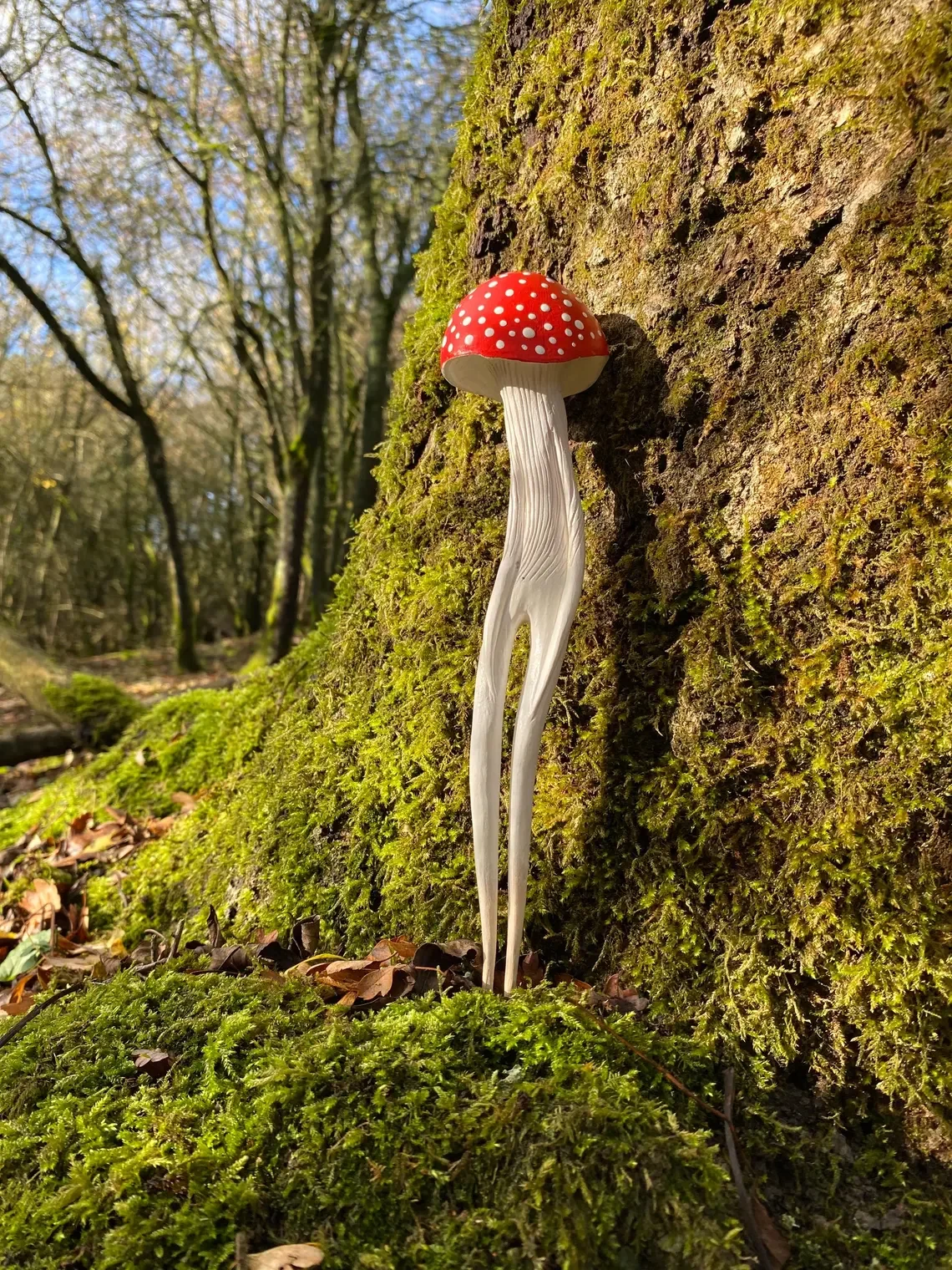 Amanita Hunter III_Tach_Pollard_000079.webp