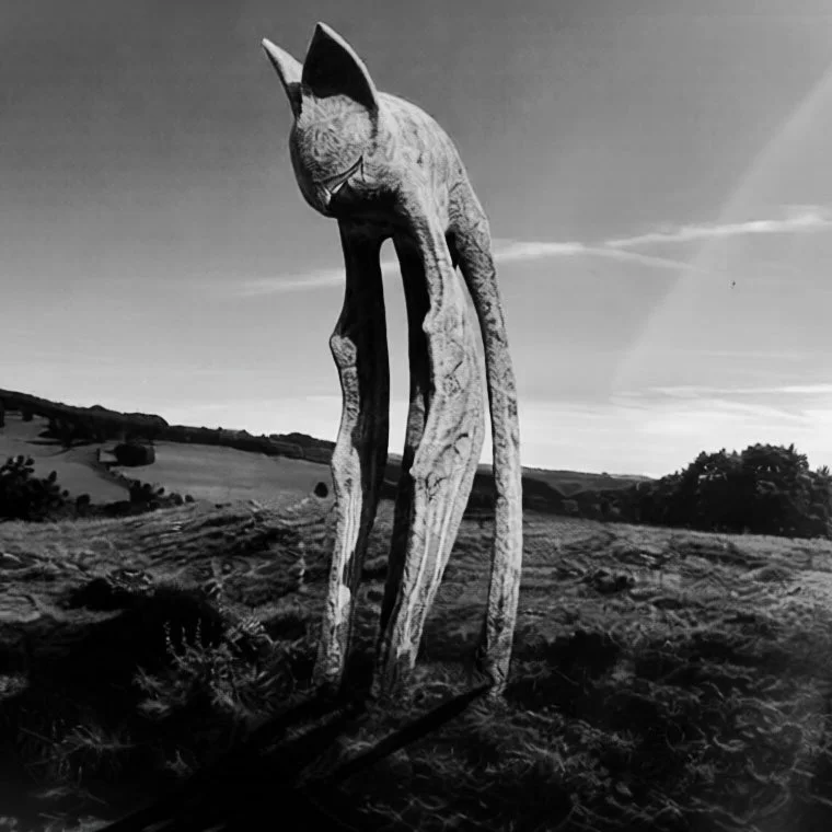 When Bats become vast