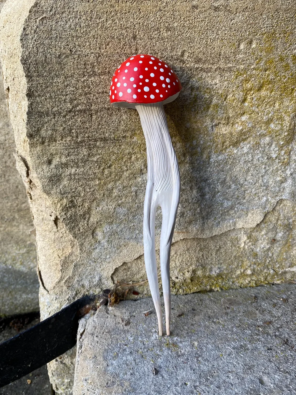Amanita Hunter III_Tach_Pollard_000080.webp
