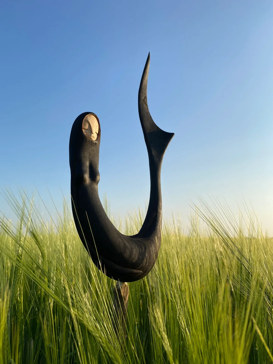 Merfolk_Tidelands_Tach_Pollard_000174.webp