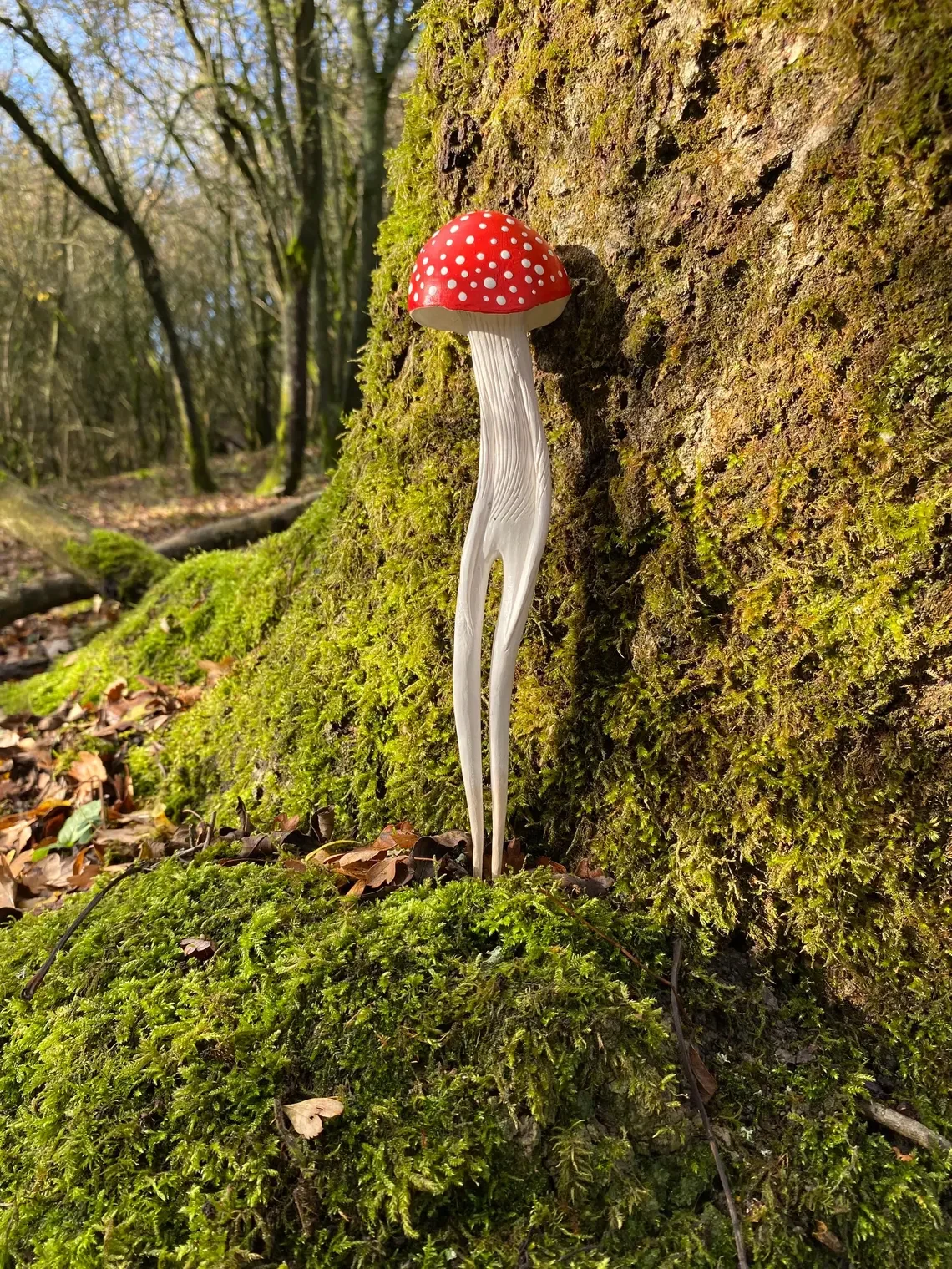 Amanita Hunter III_Tach_Pollard_000073.webp