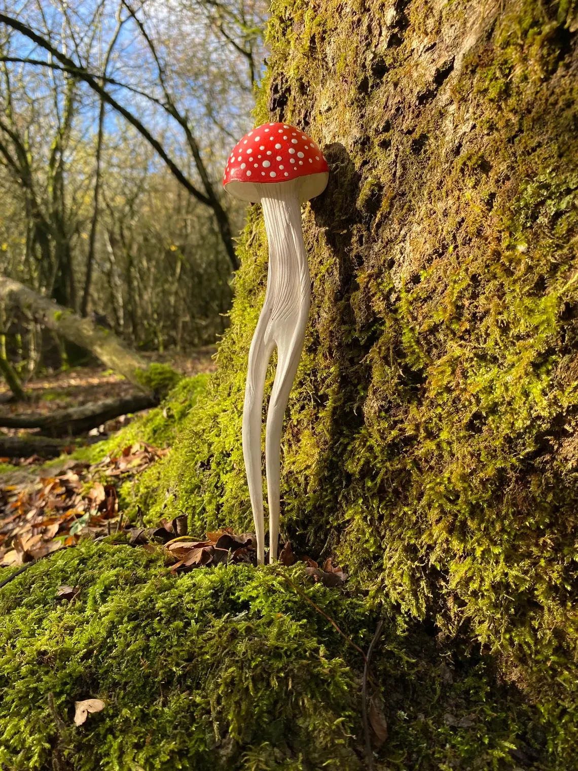 Amanita Hunter III_Tach_Pollard_000076.webp