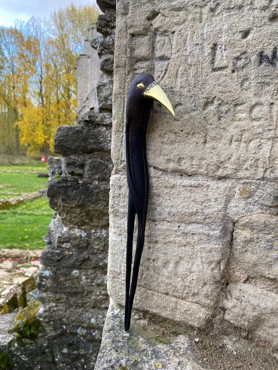 King_Crow_Tach_Pollard_000069.jpg