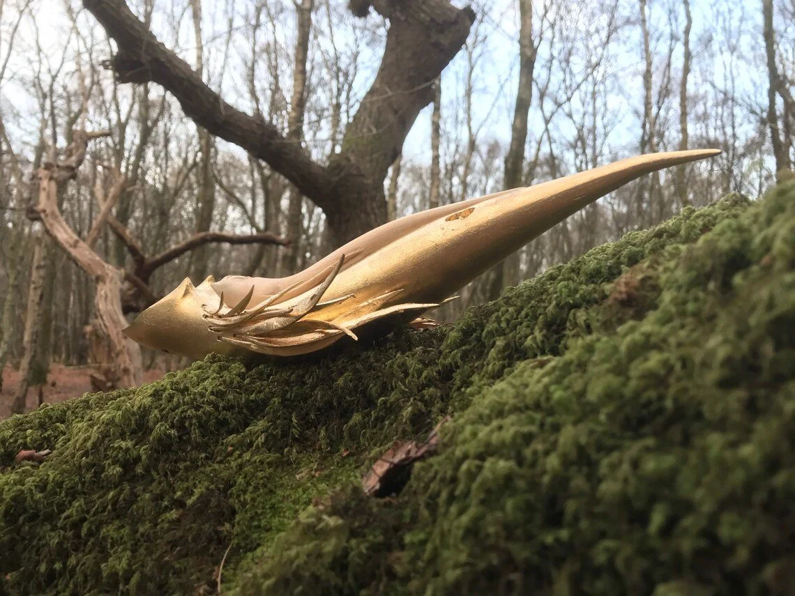 Fire_Fox_Dreaming_Tach_Pollard_000053.jpg