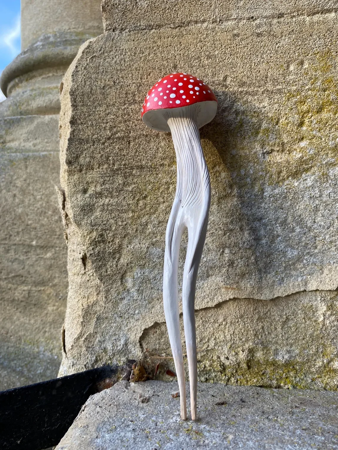 Amanita Hunter III_Tach_Pollard_000077.webp
