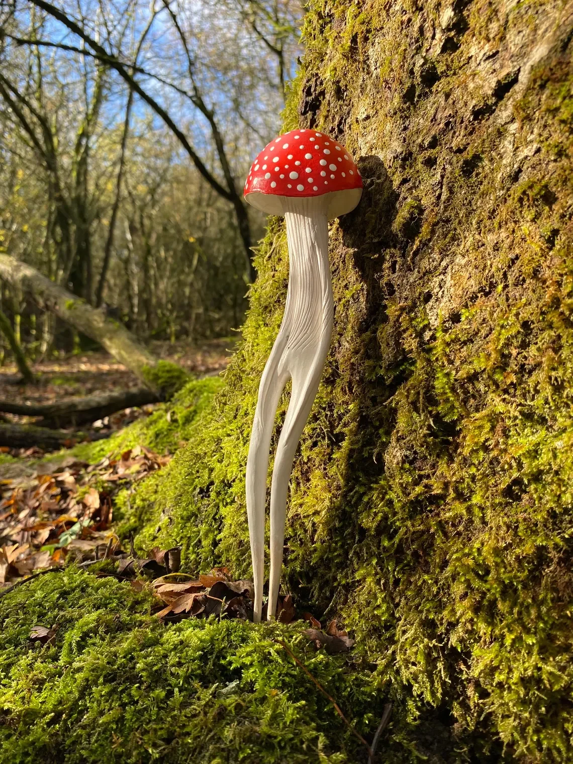 Amanita Hunter III_Tach_Pollard_000078.webp