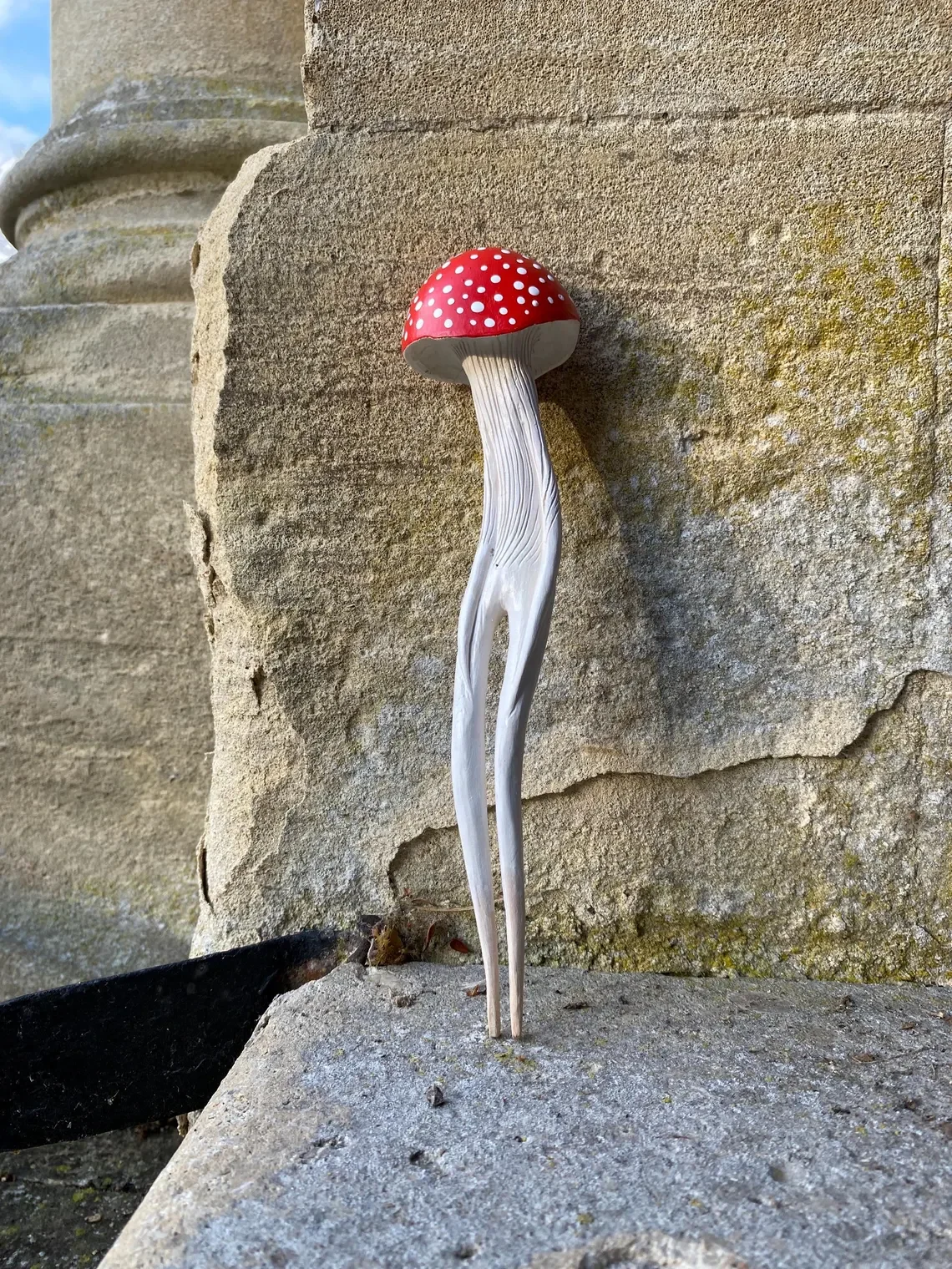 Amanita Hunter III_Tach_Pollard_000081.webp