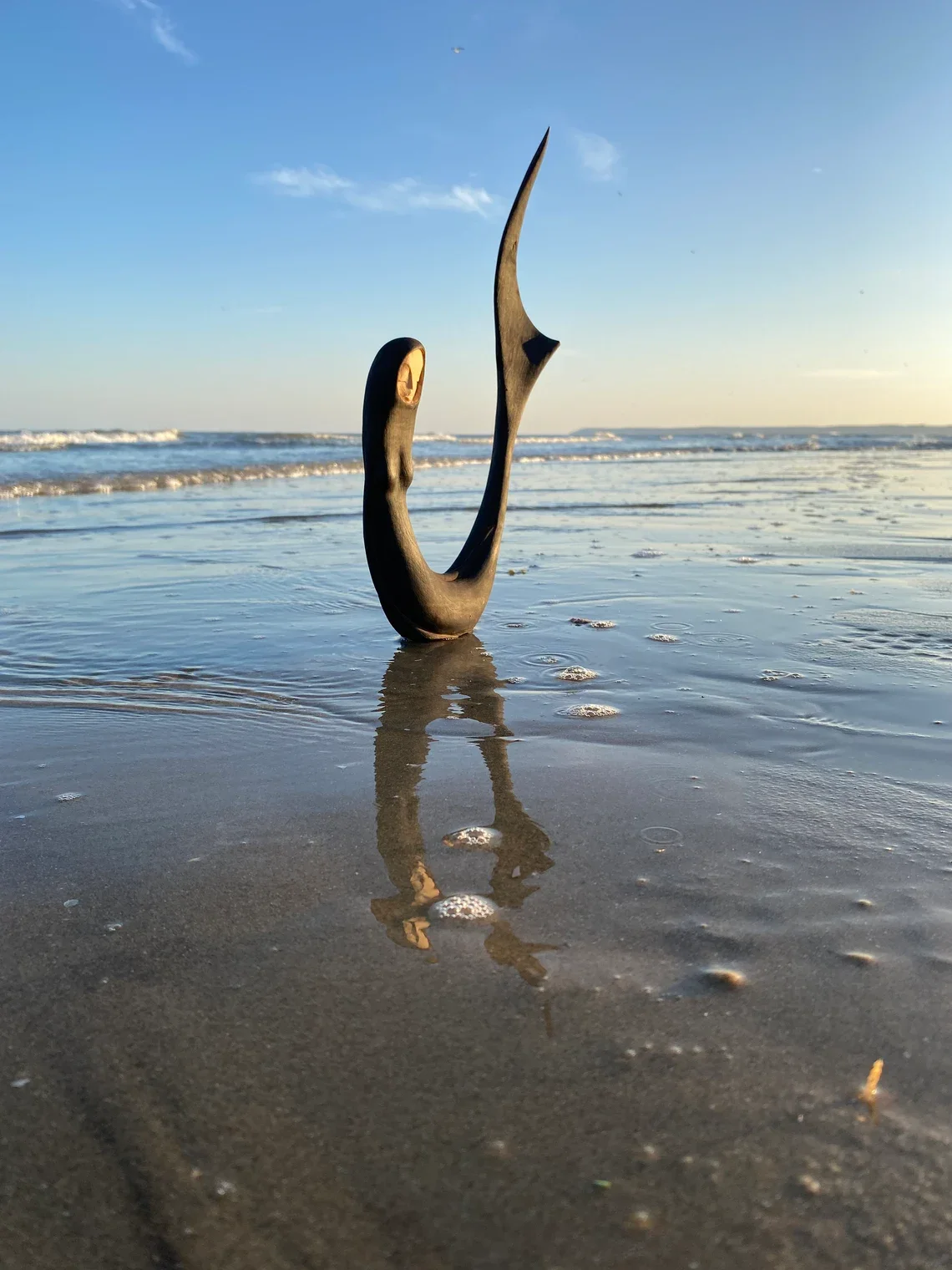 Merfolk_Tidelands_Tach_Pollard_000167.webp