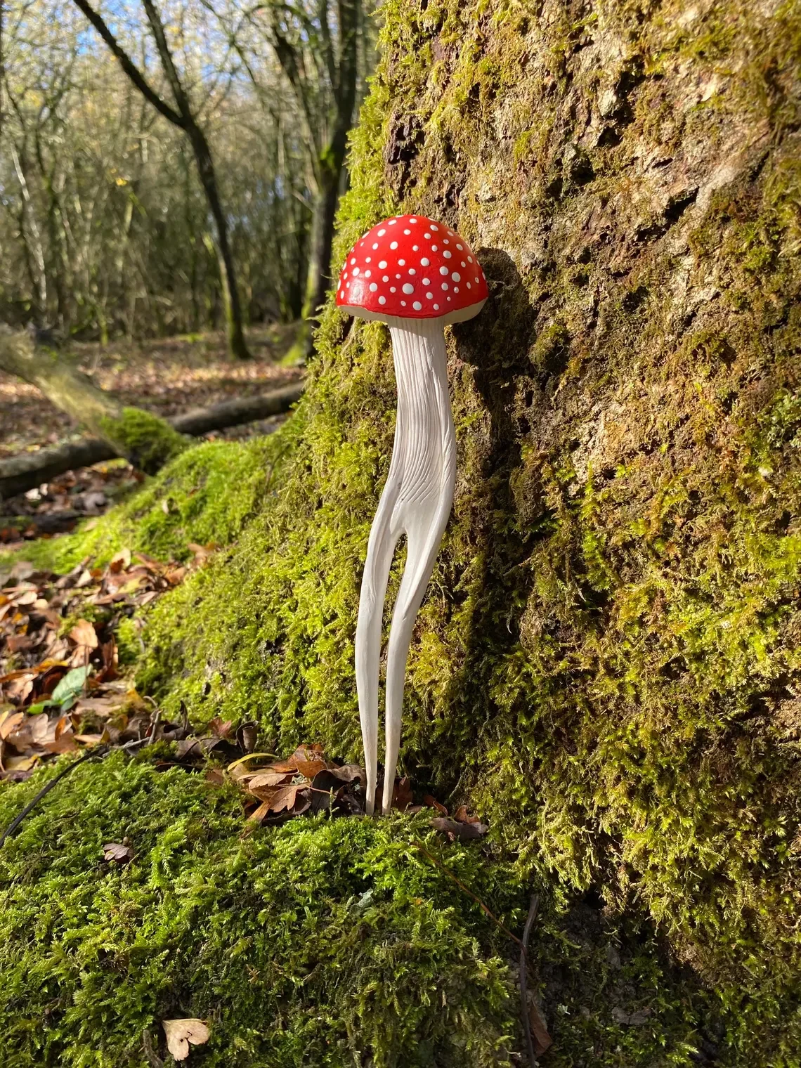 Amanita Hunter III_Tach_Pollard_000074.webp