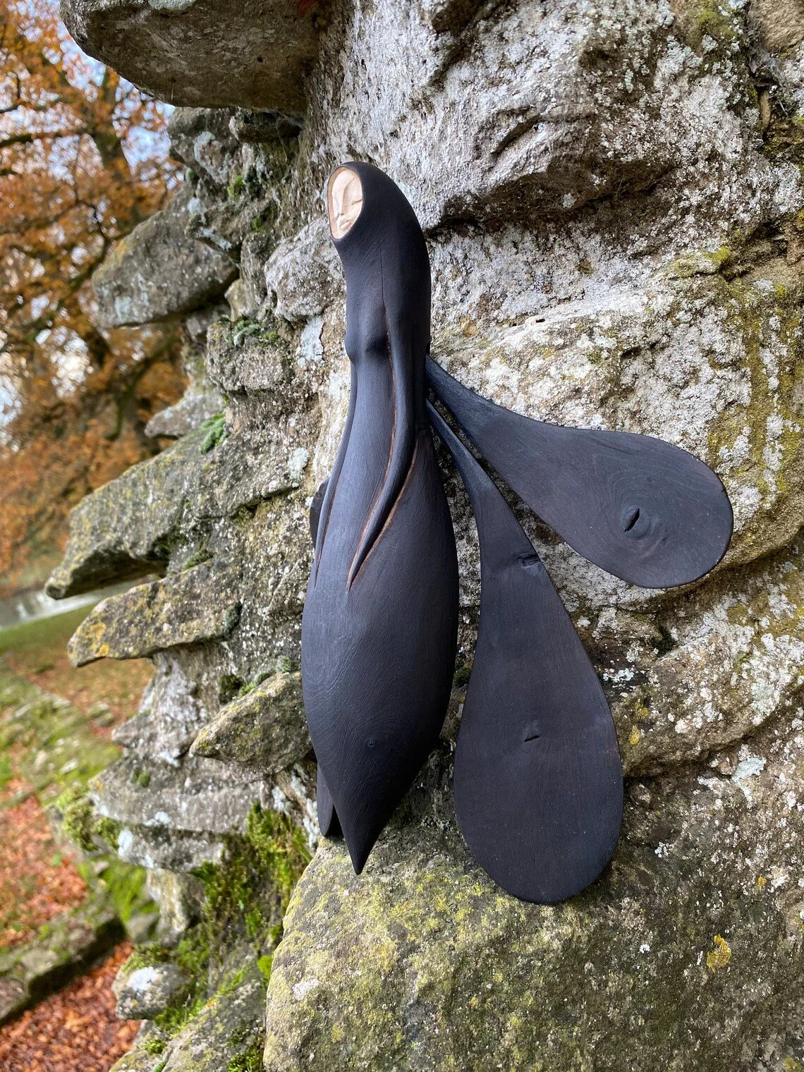 Mellisea_Tach_Pollard_000030.jpg