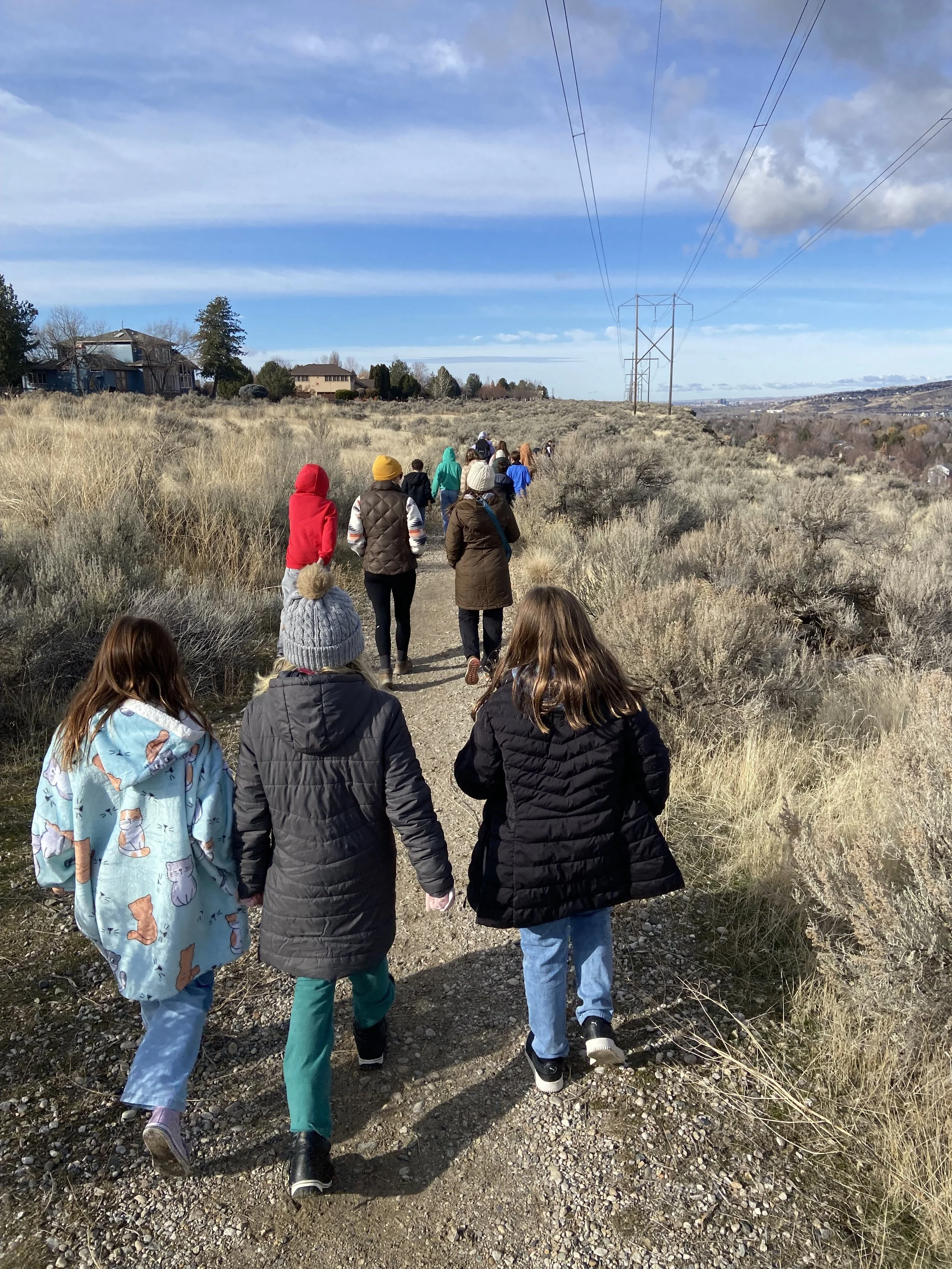 TOEd : Homeschool Enrichment